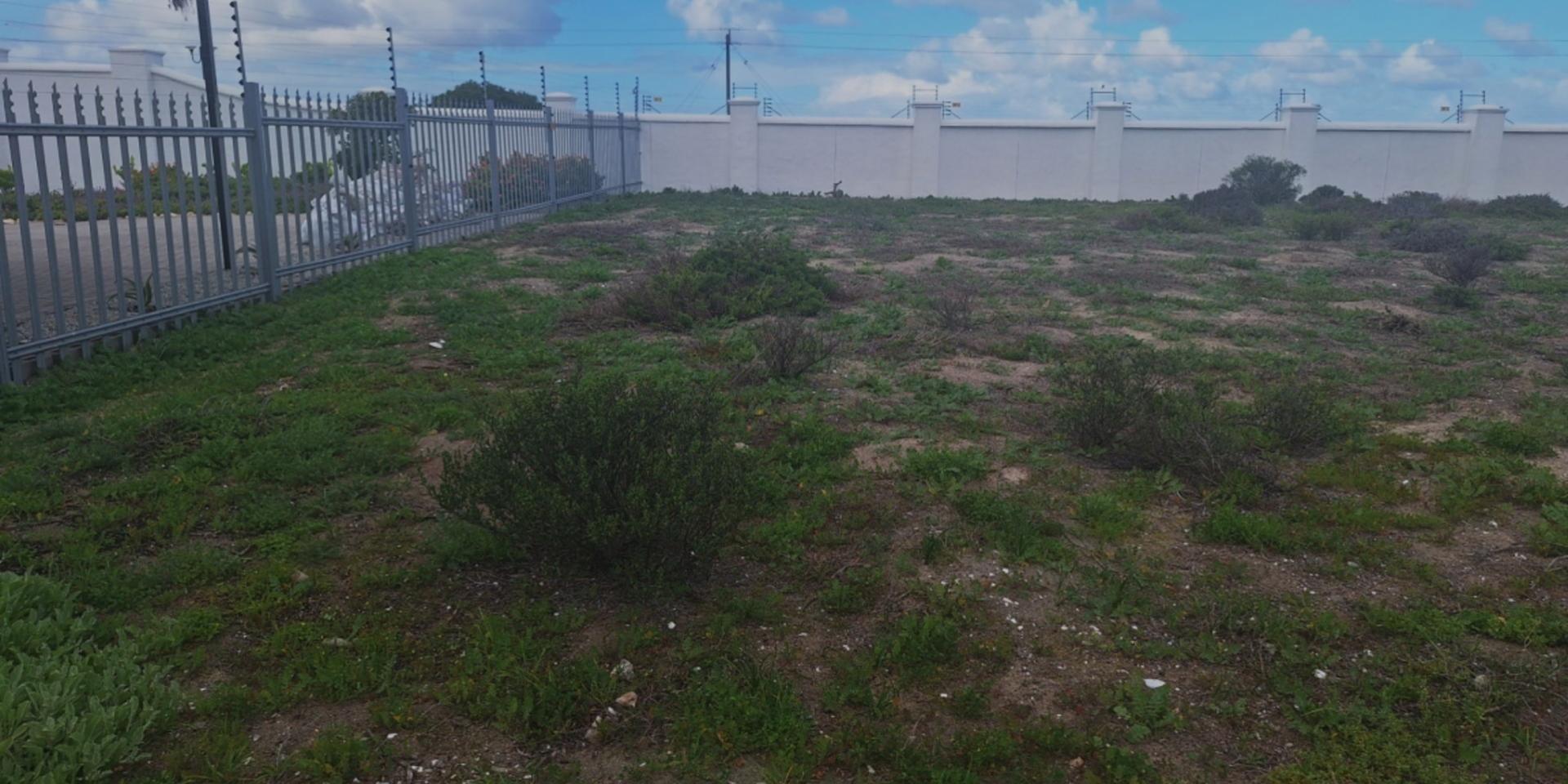 Image 2 of 6