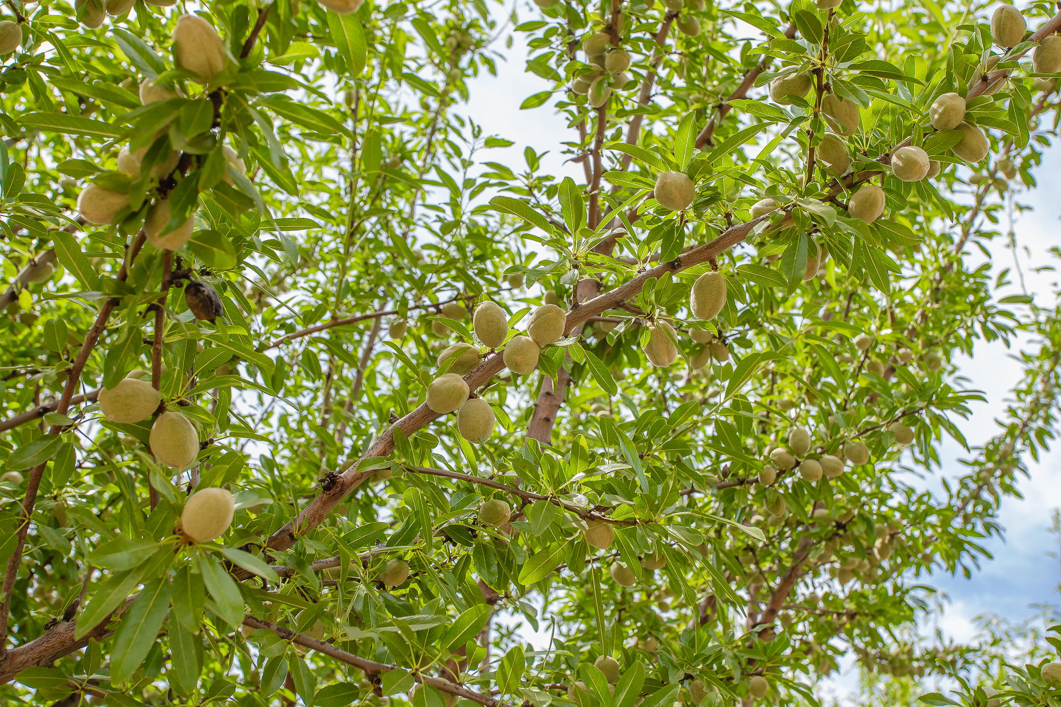 Image 92