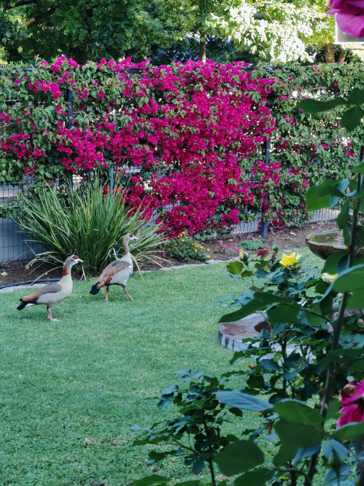 Image 68