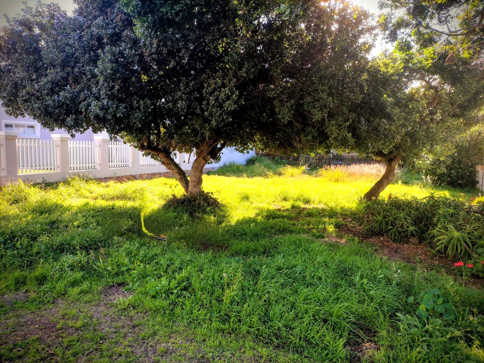 Image 5 of 6