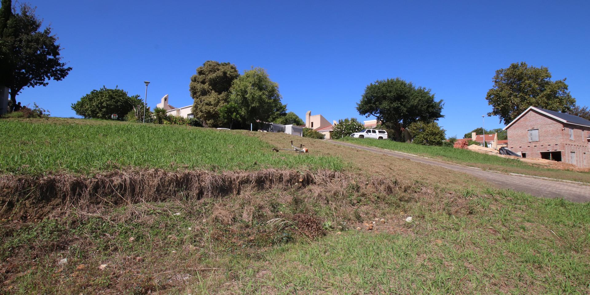 Image 5 of 6