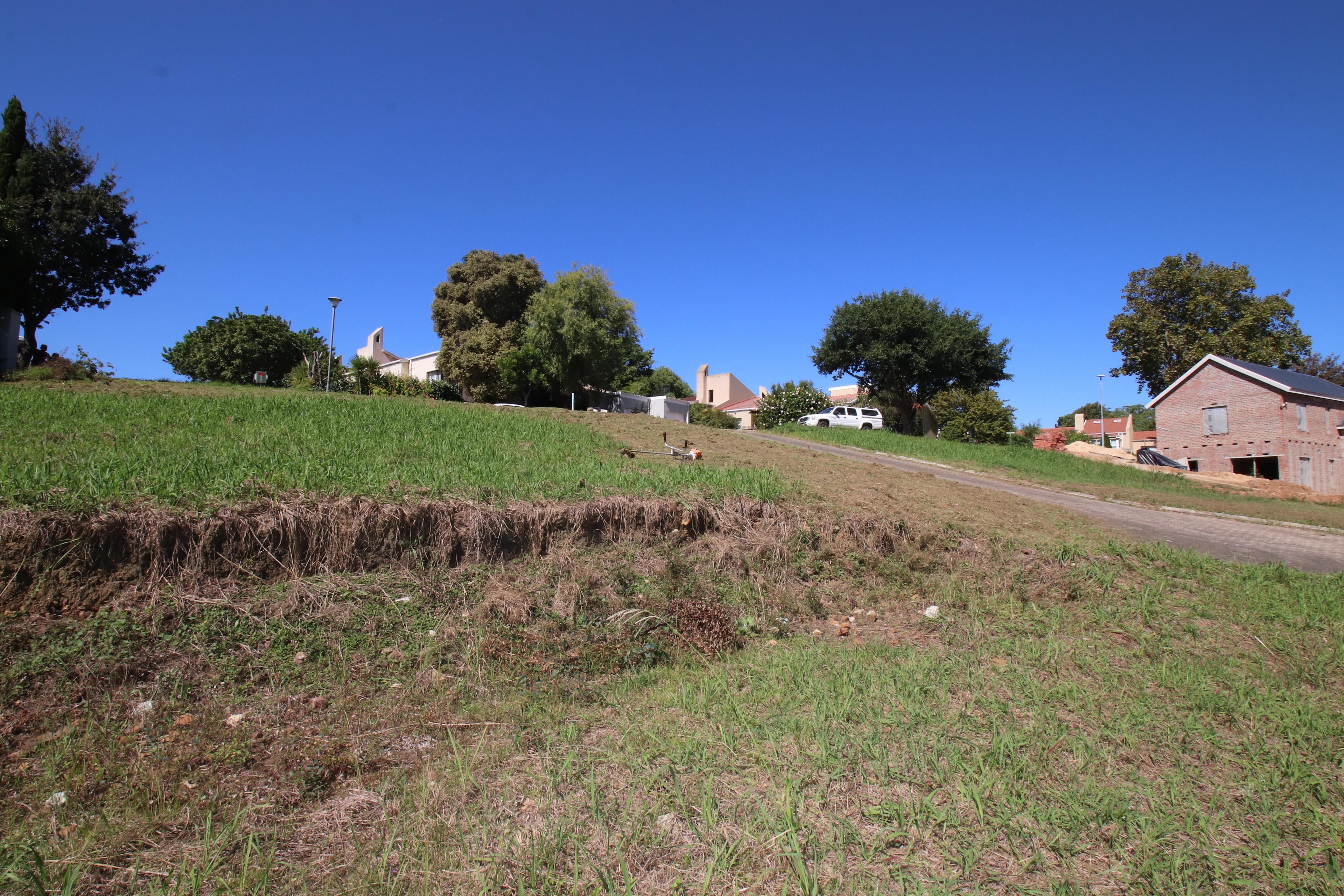 Image 5 of 6