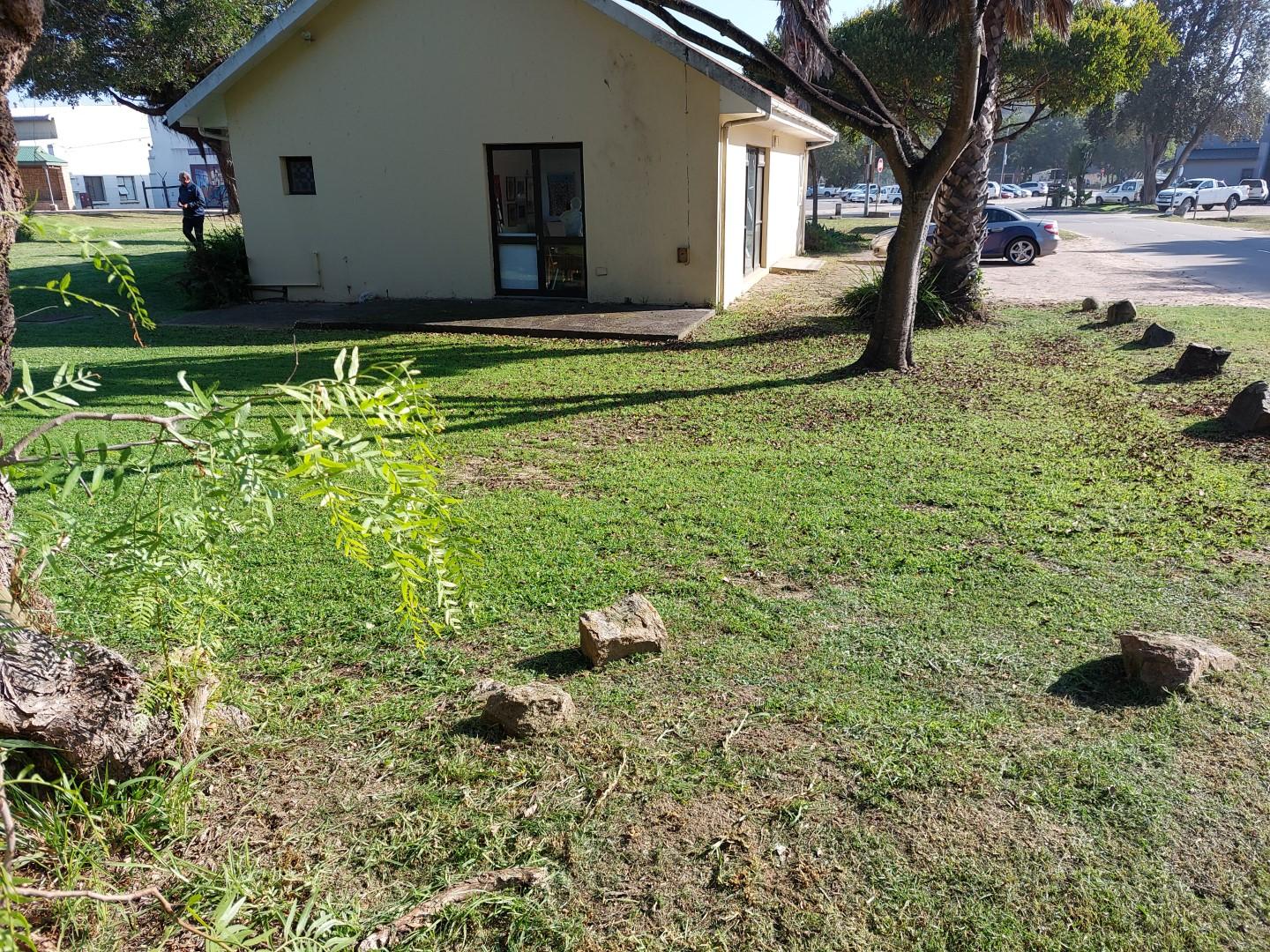 Image 20