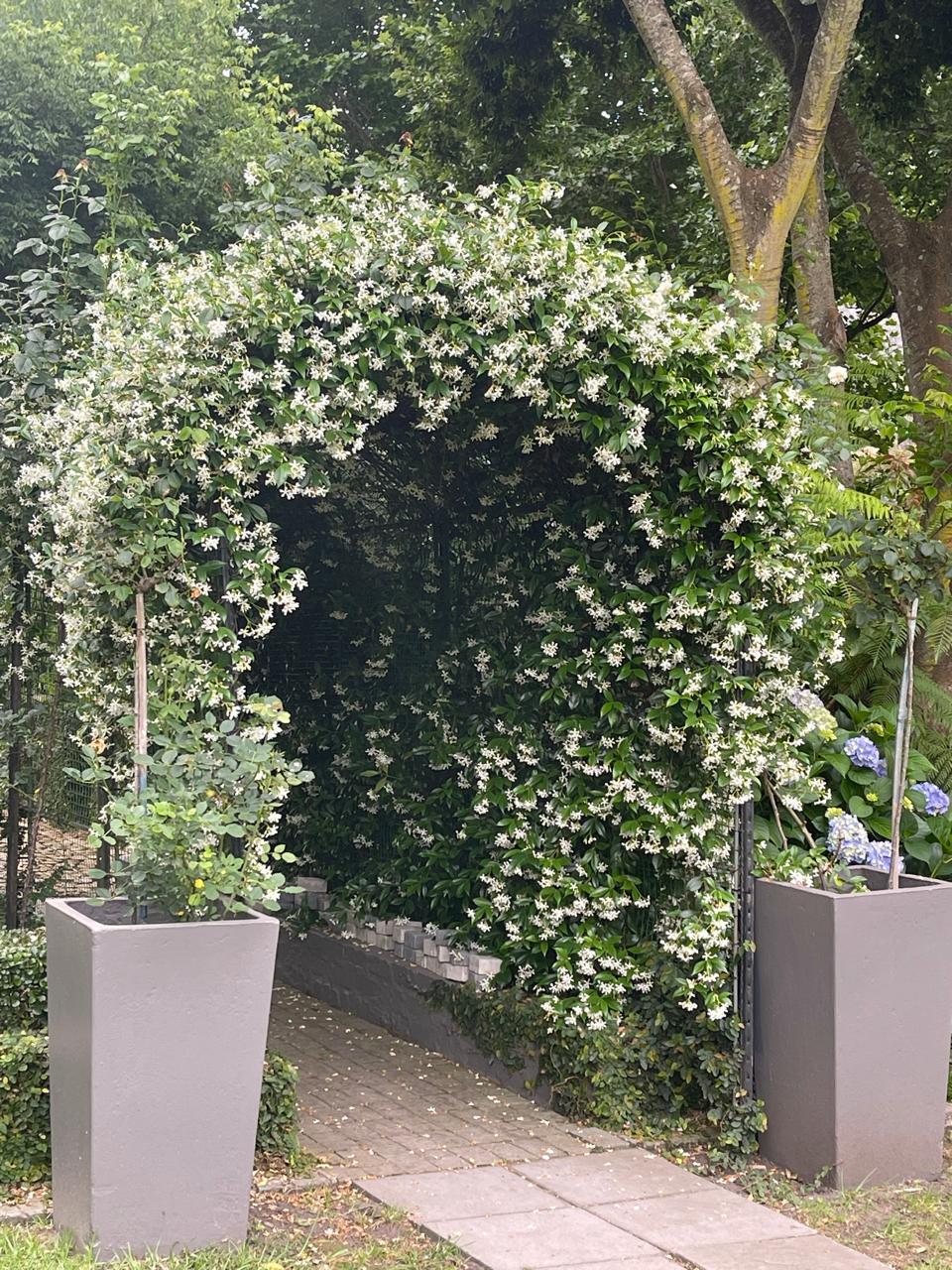 Image 26