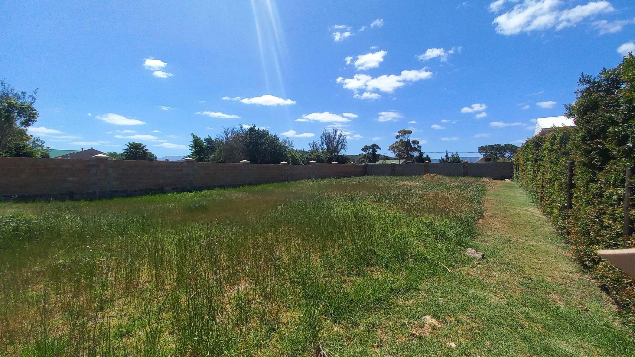 Image 4 of 6