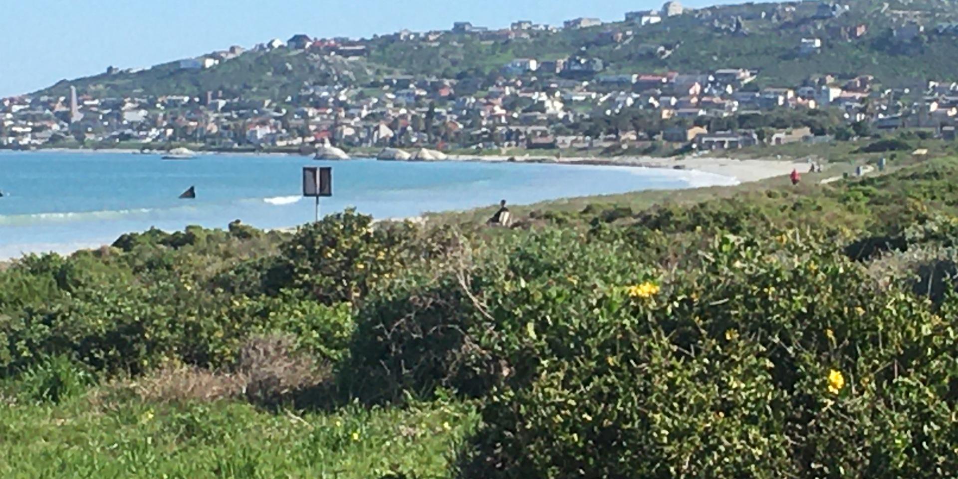 Image 2 of 6