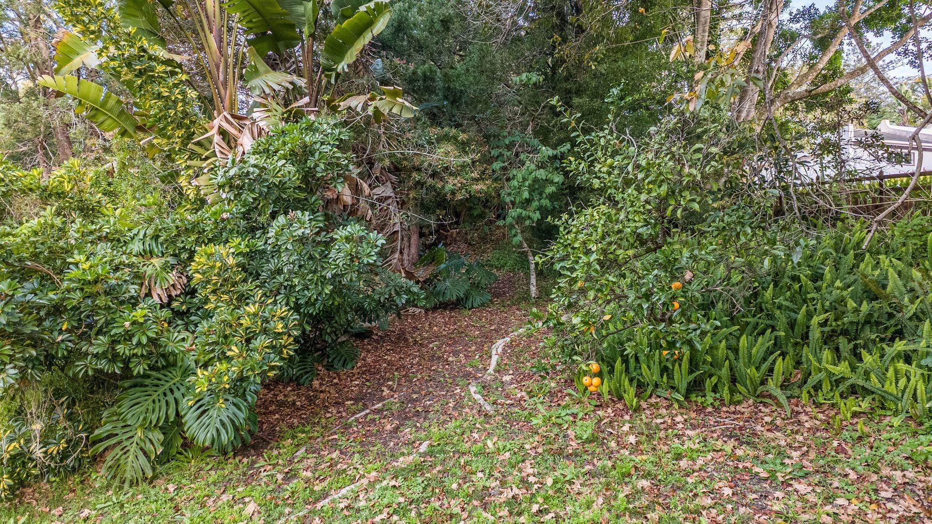 Image 35