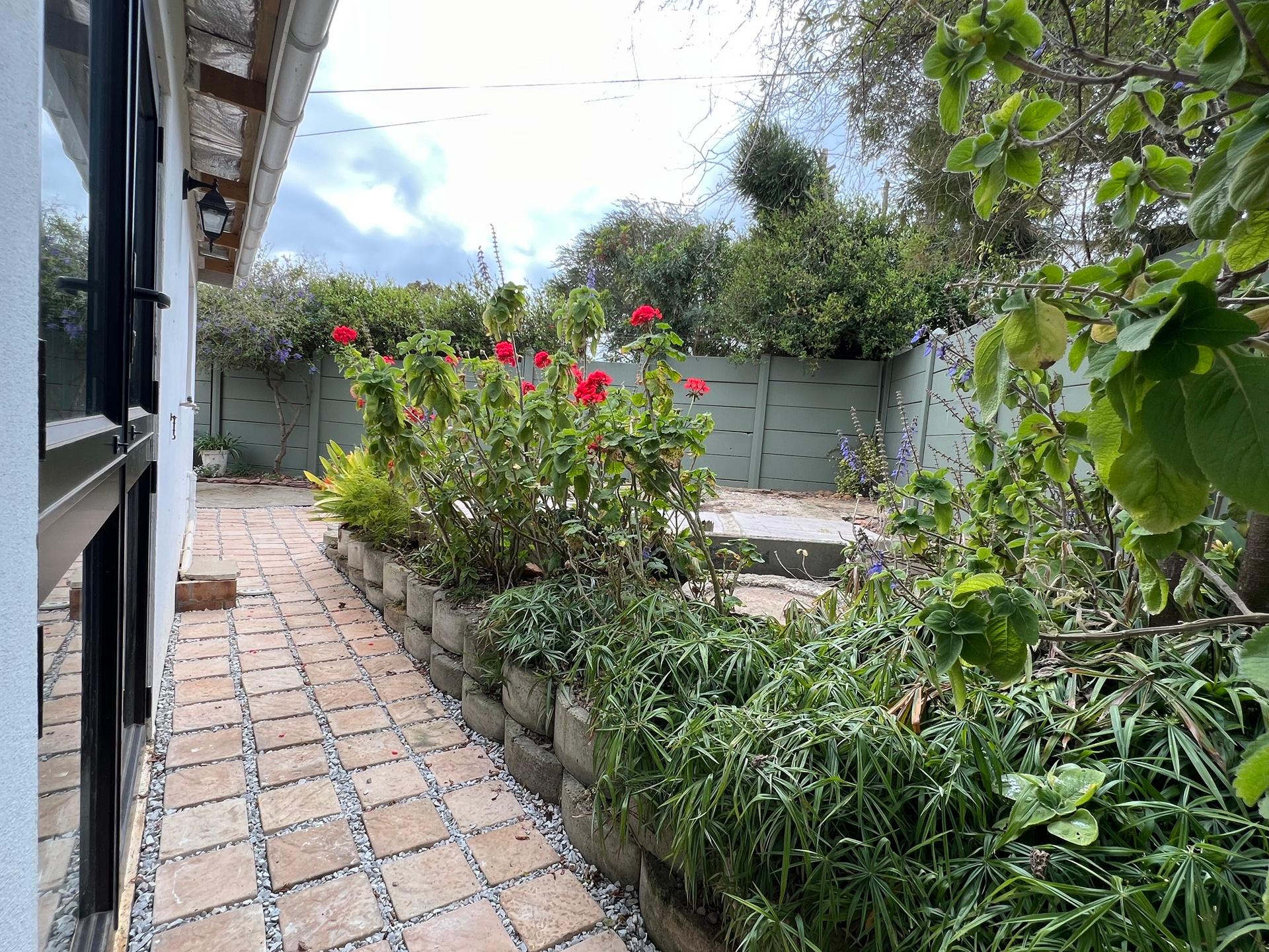 Image 20