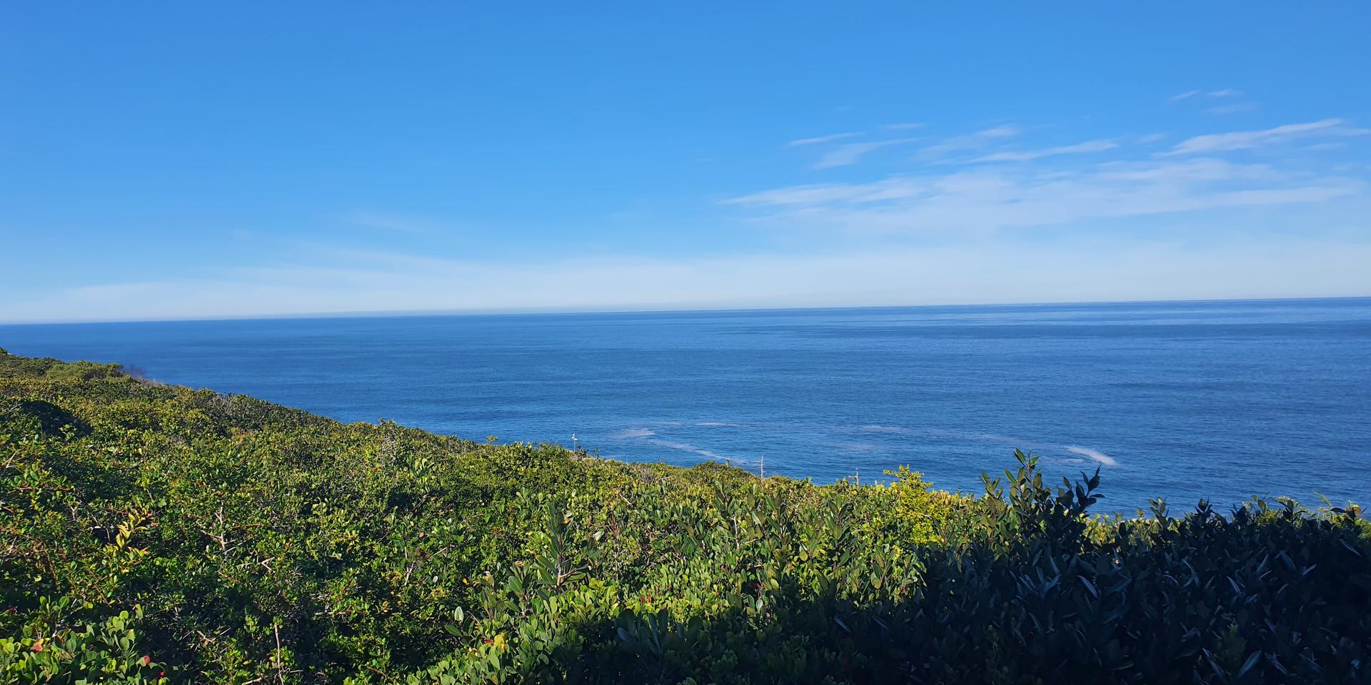 Image 5 of 6