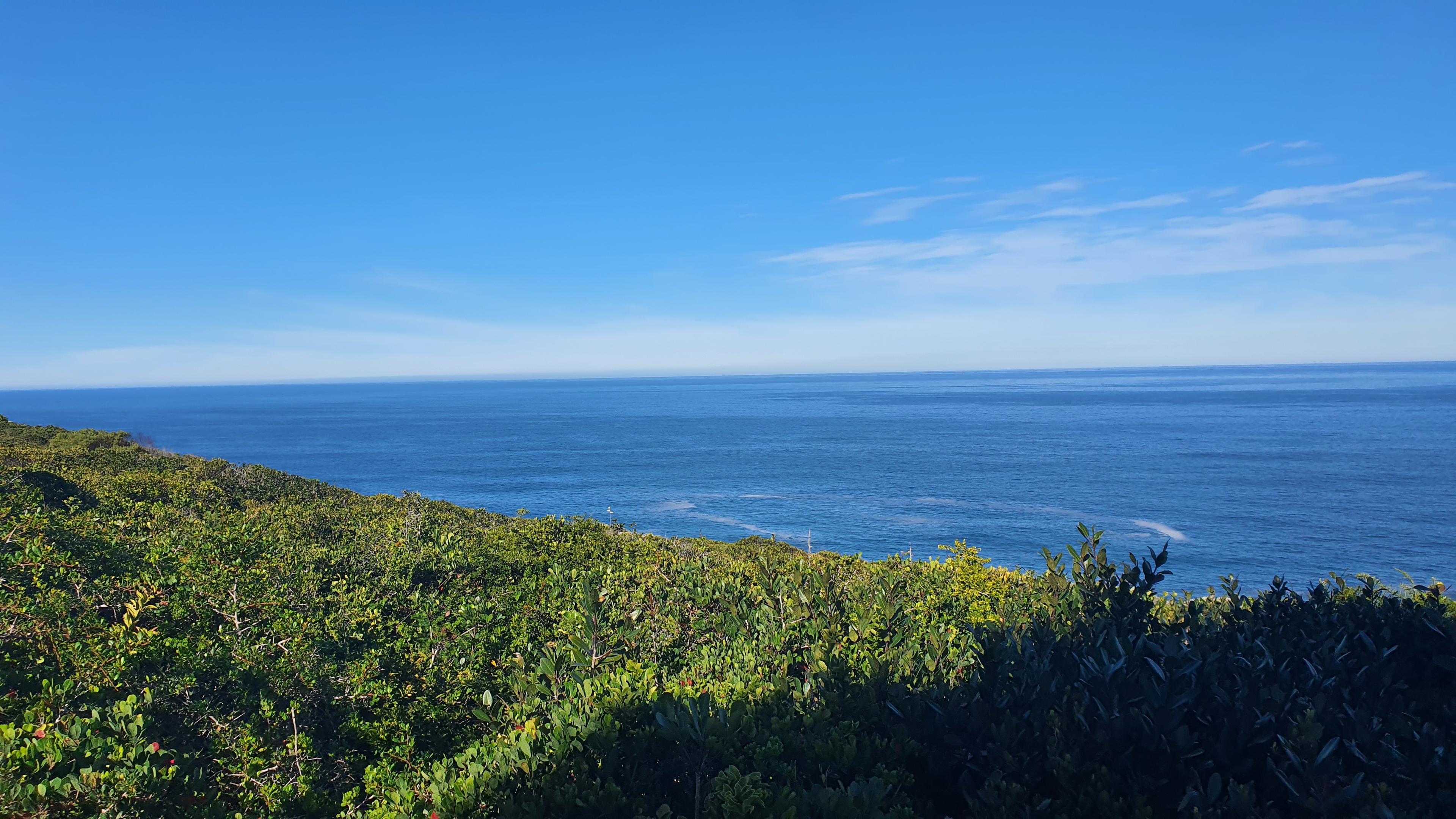 Image 5 of 6