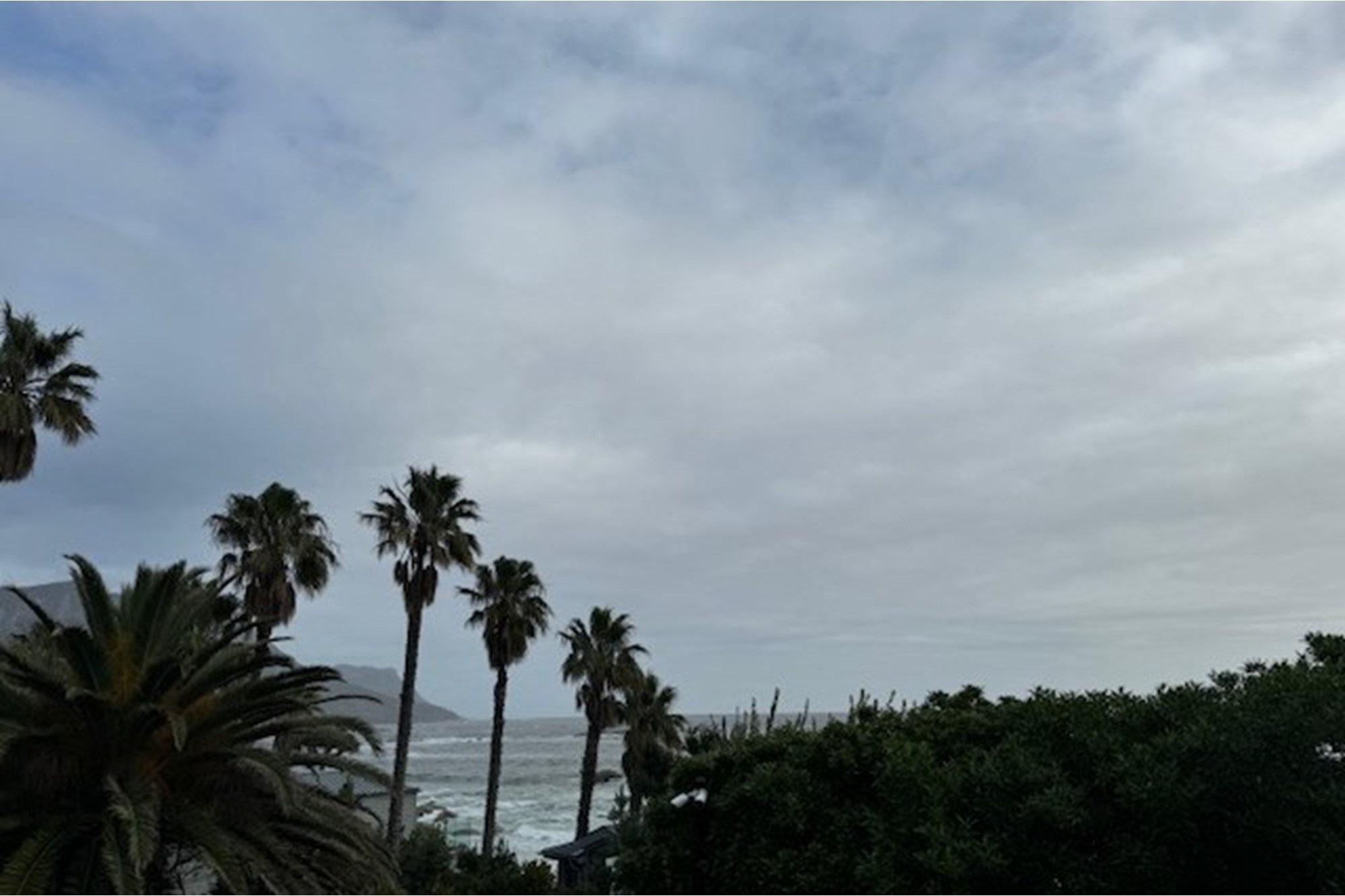 Image 39