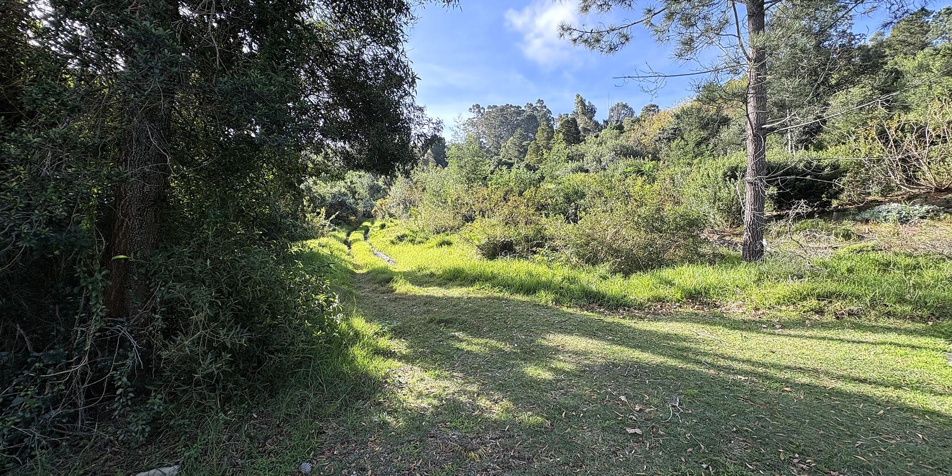 Image 5 of 6