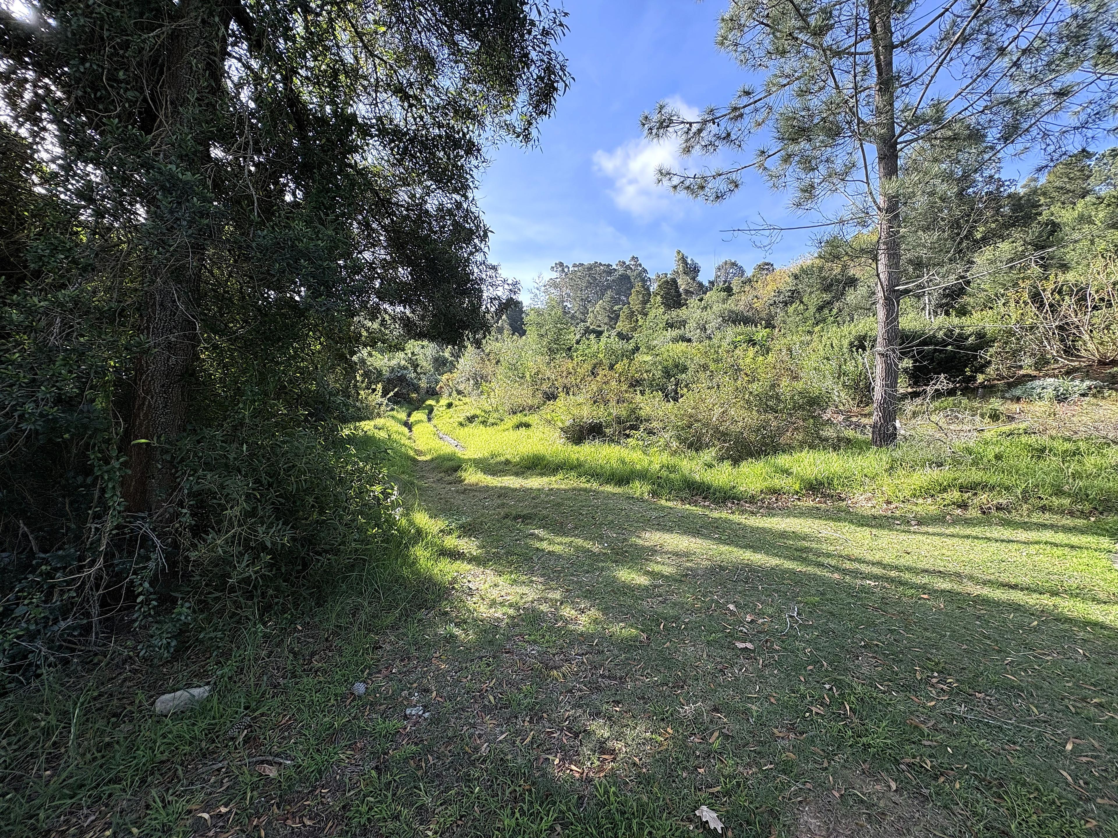 Image 5 of 6