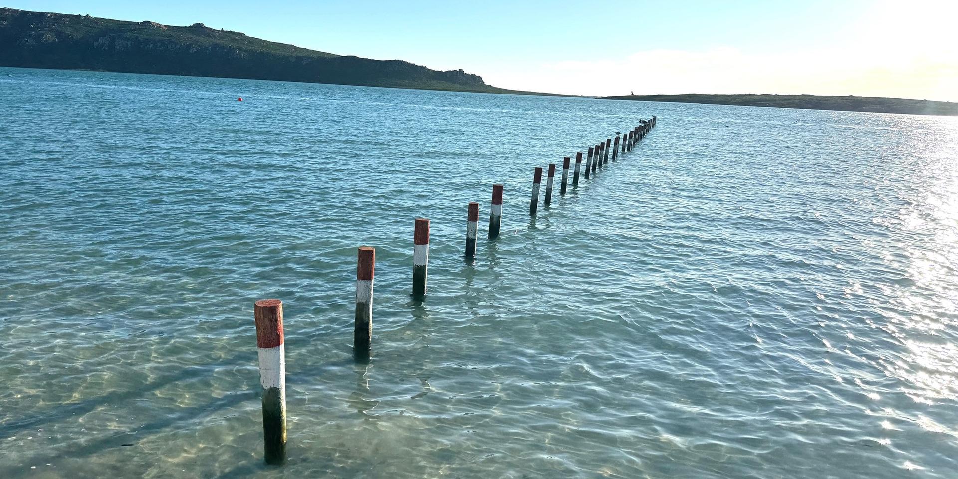 Image 4 of 6