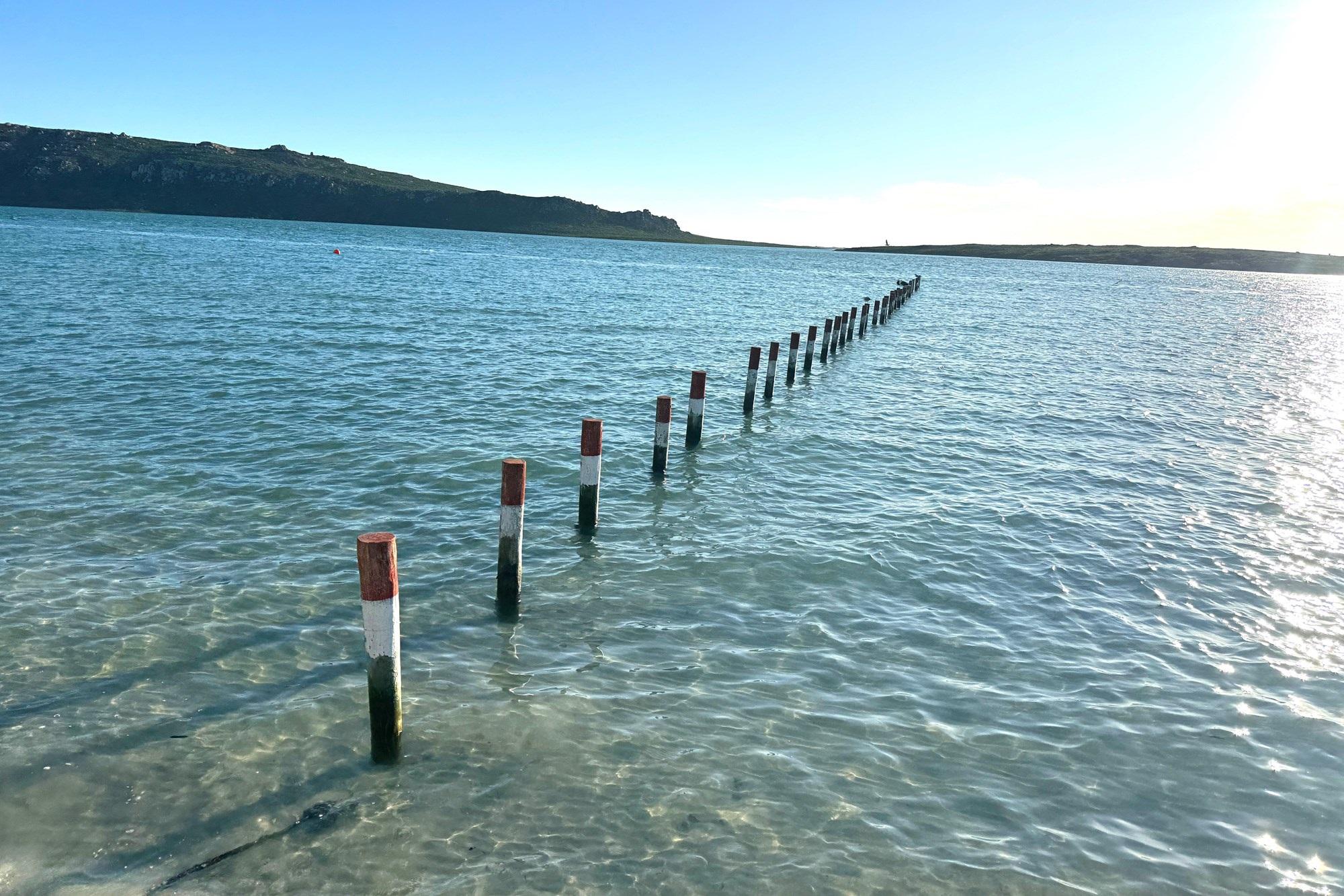 Image 4 of 6