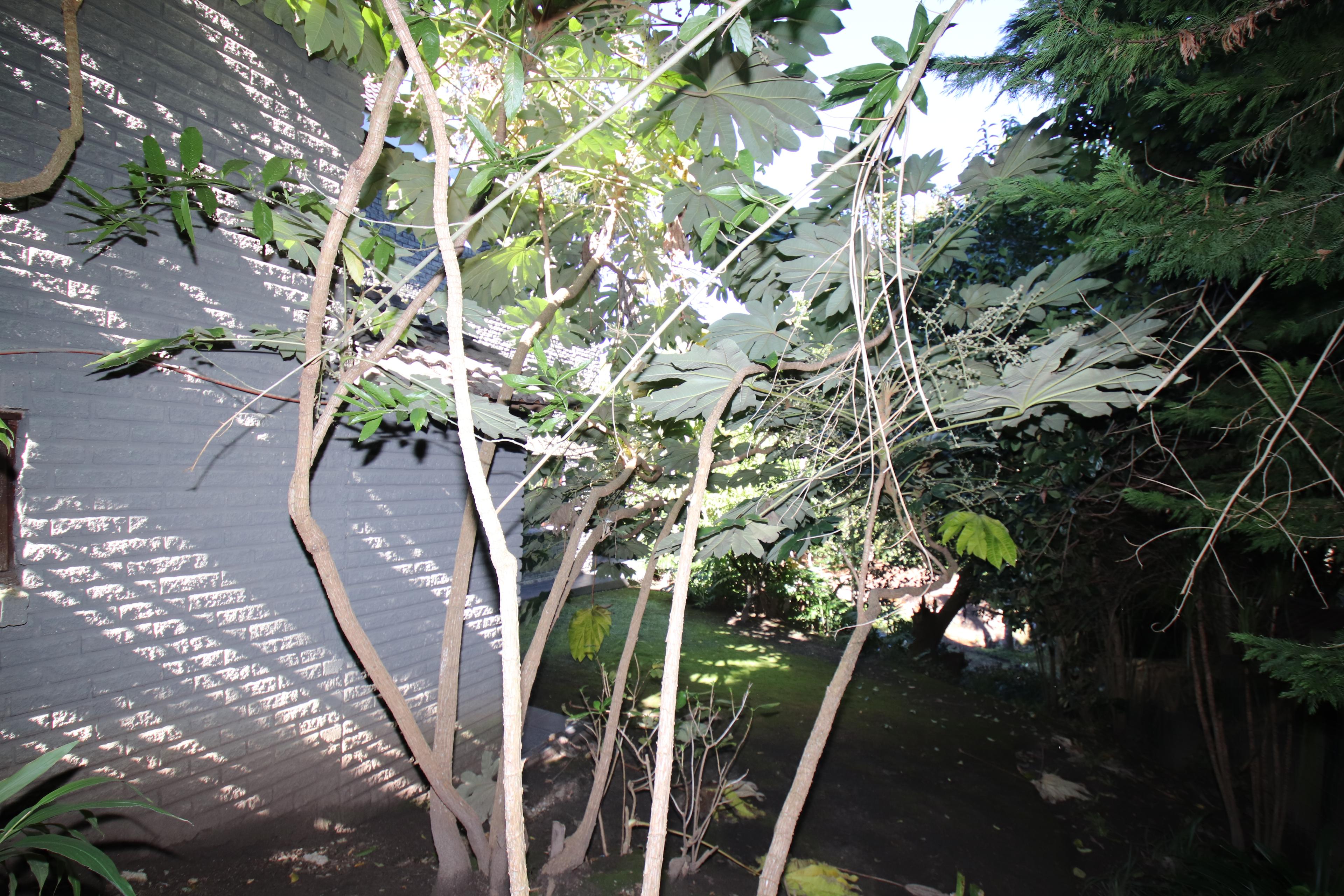 Image 39