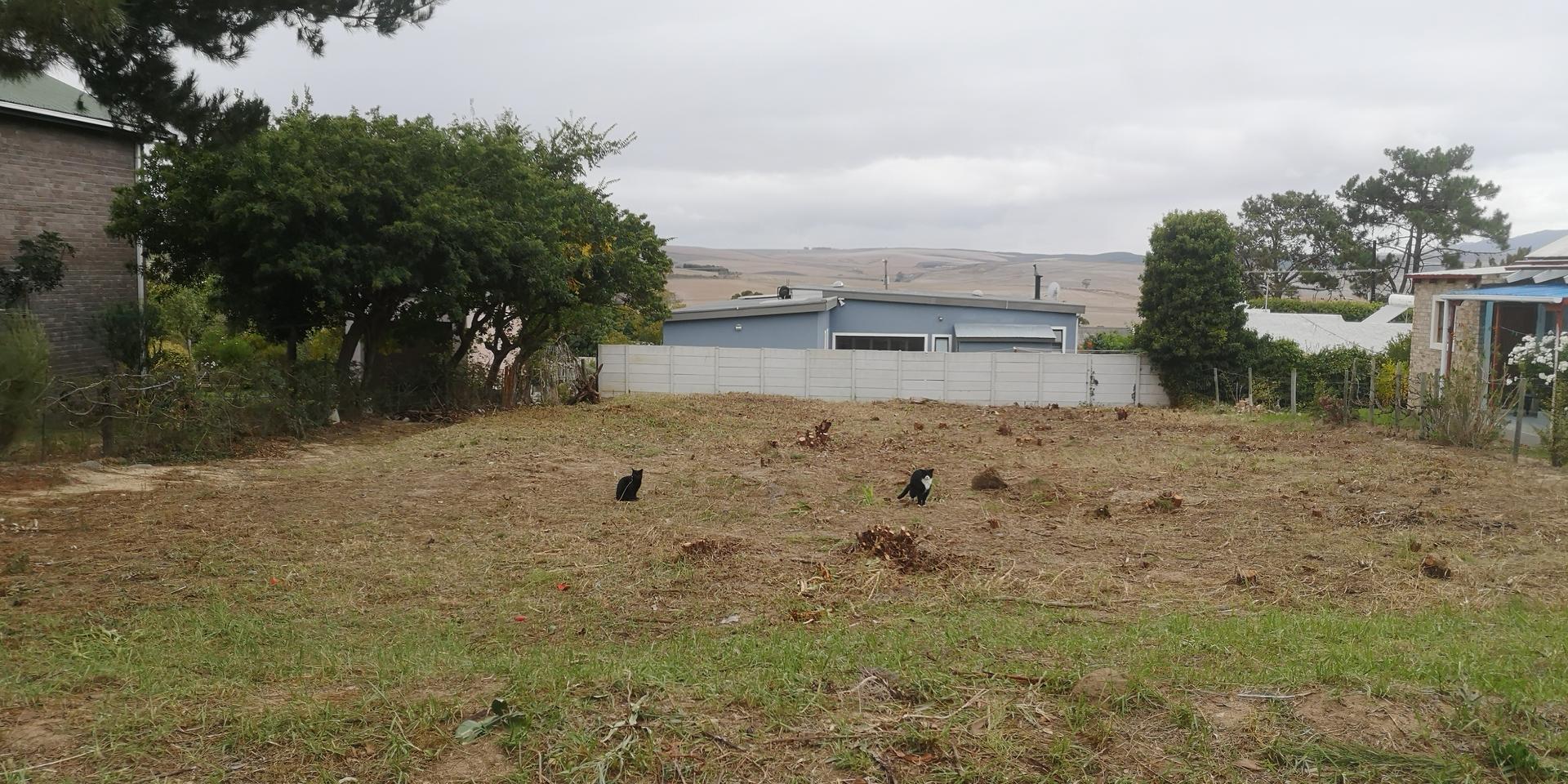 Image 2 of 6