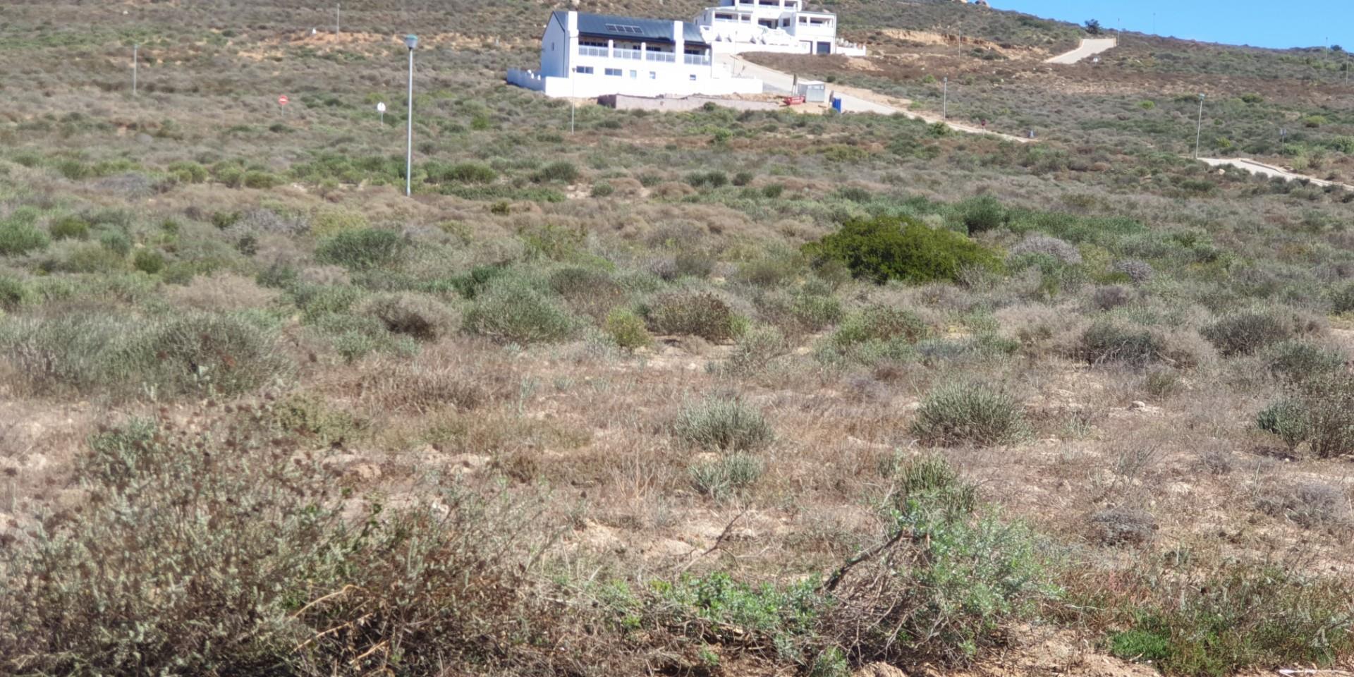 Image 4 of 6