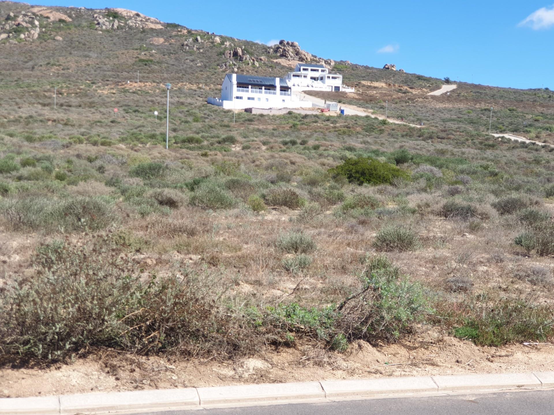 Image 4 of 6
