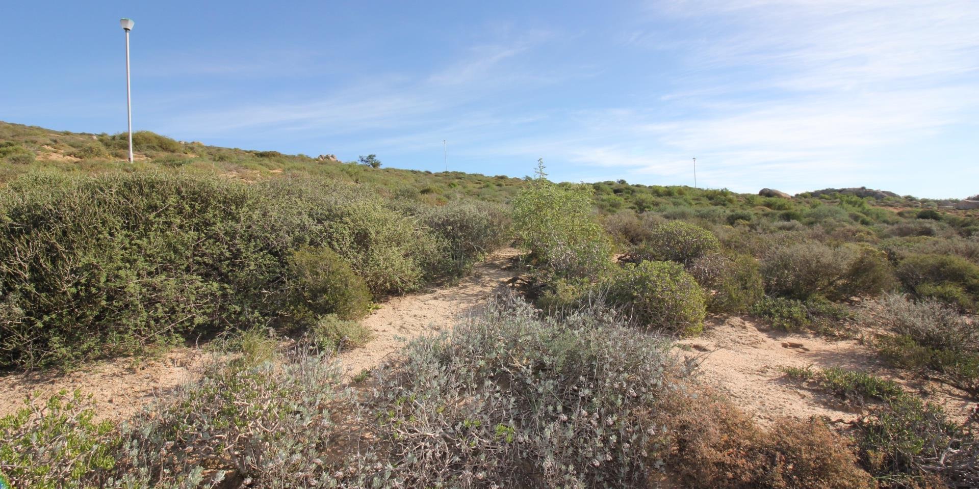 Image 4 of 6