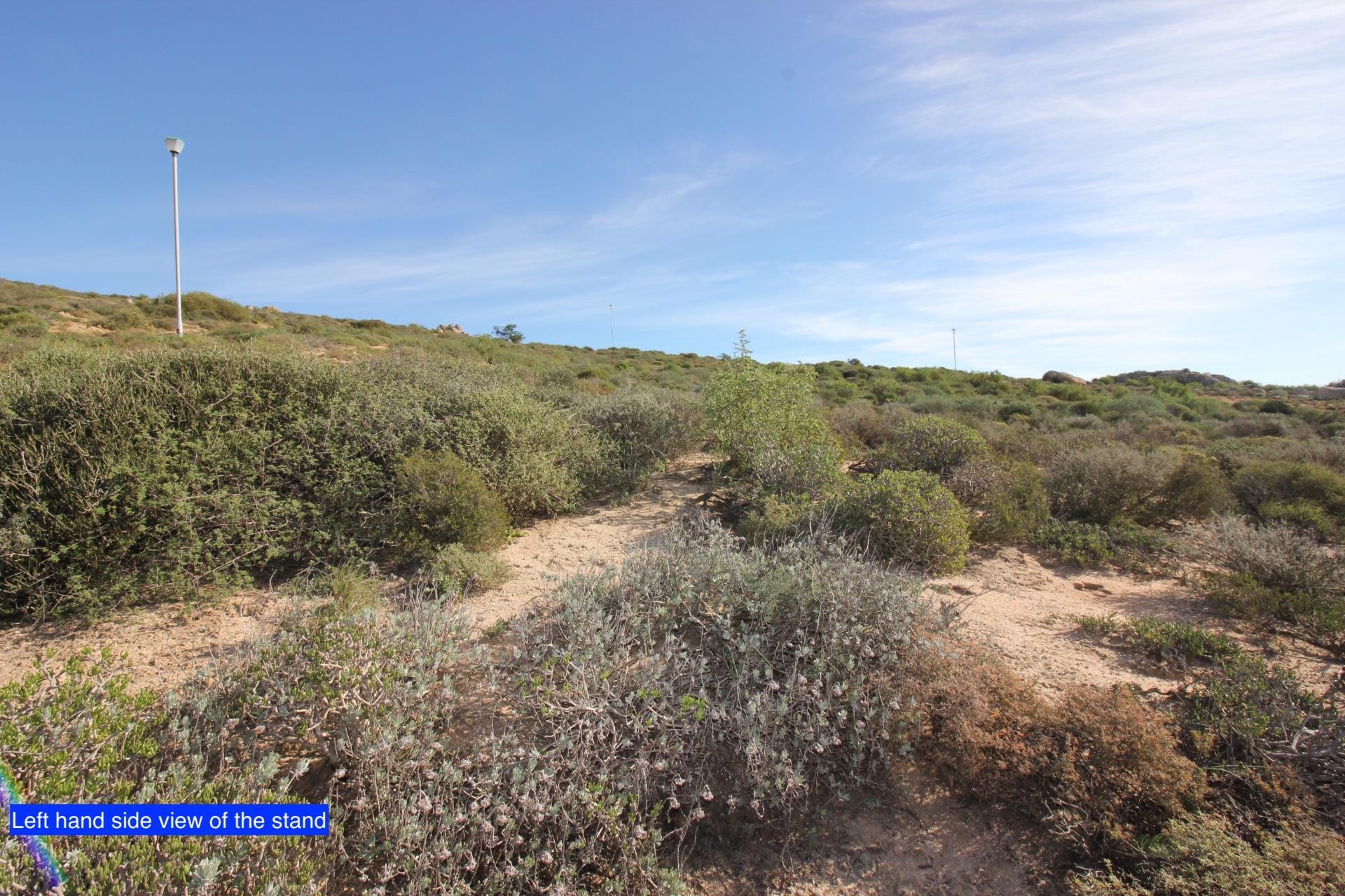 Image 4 of 6