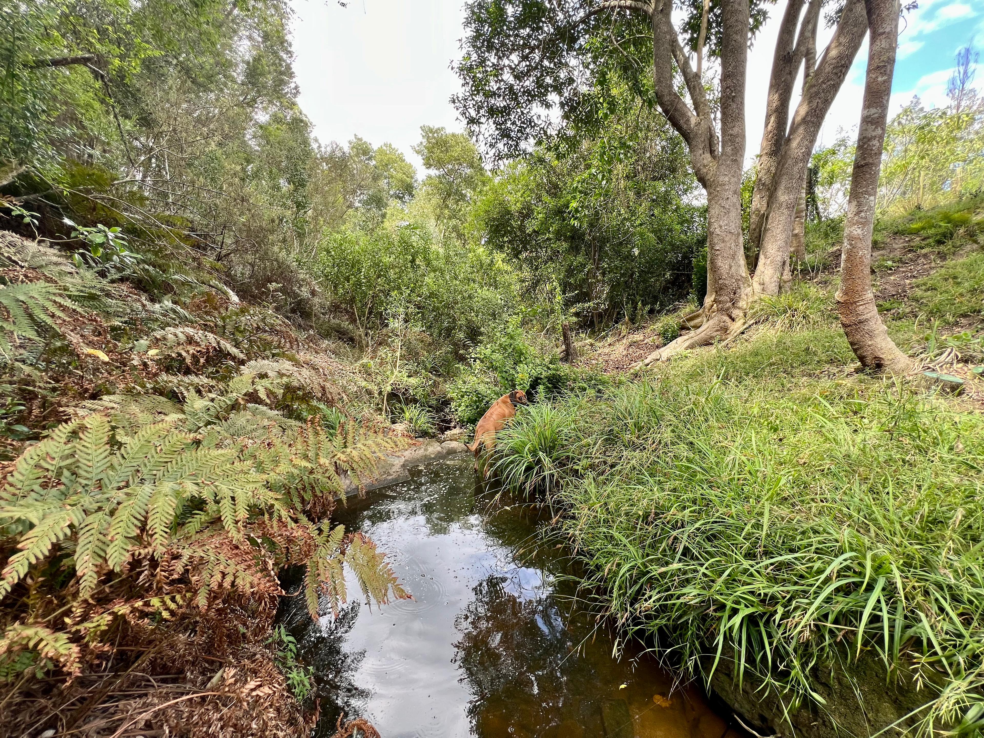 Image 15