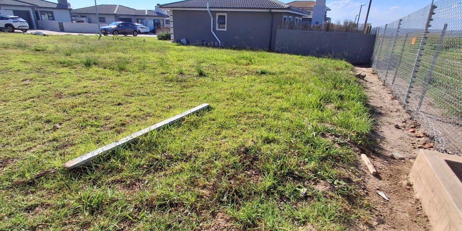 Image 5 of 6