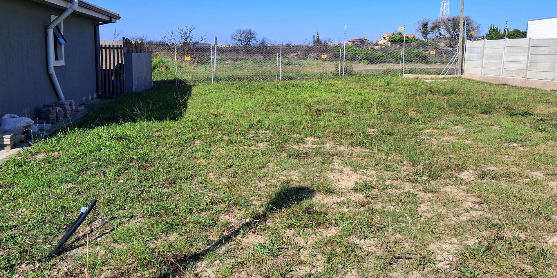 Image 5 of 6