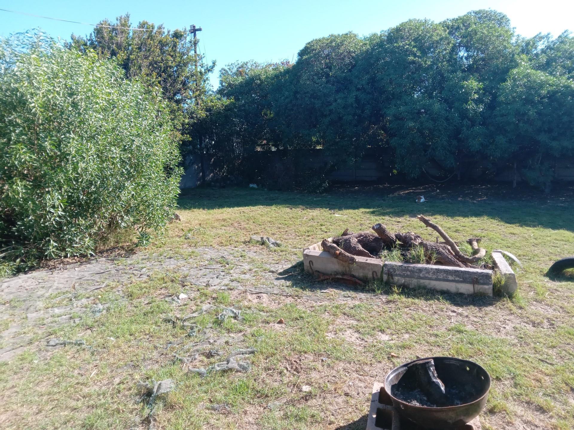 Image 14