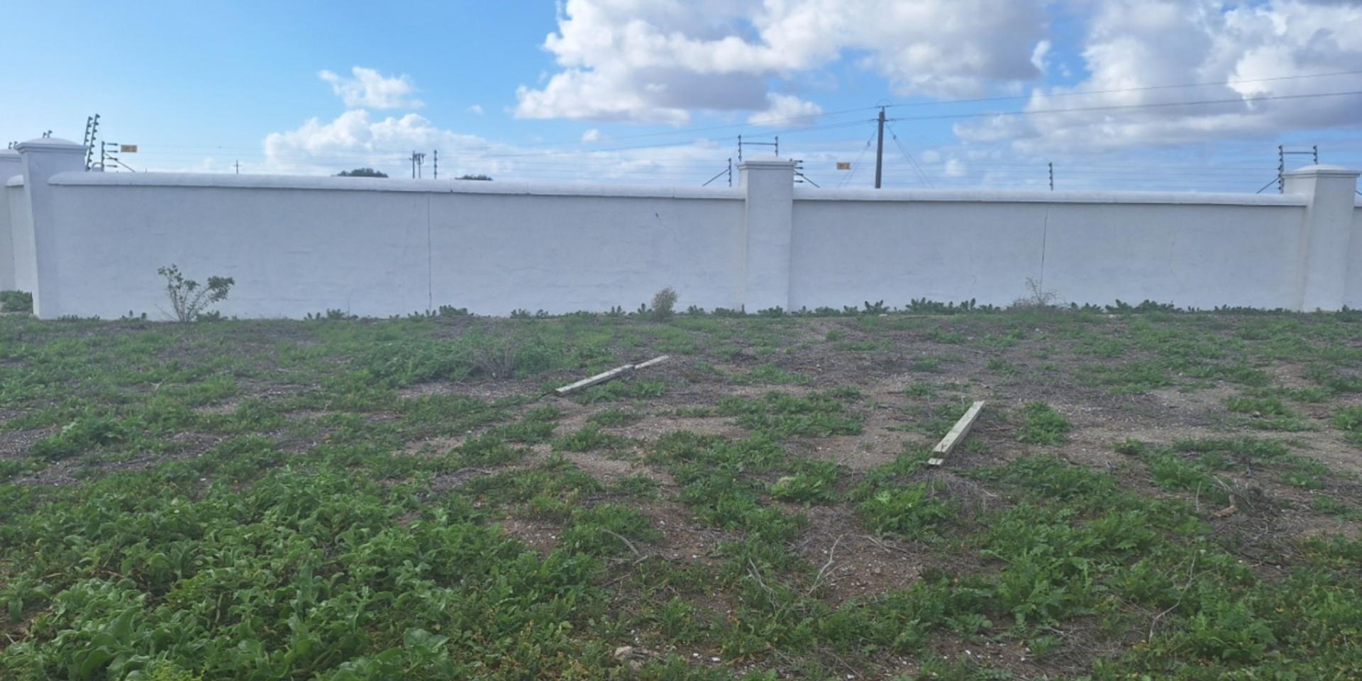 Image 4 of 6