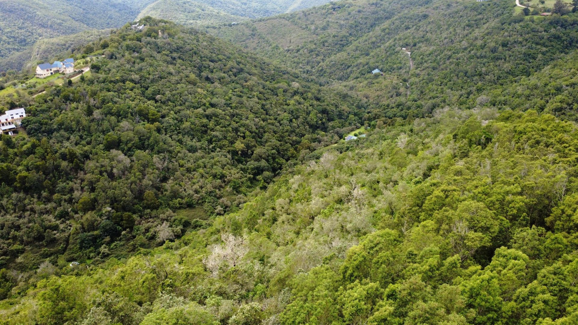 Image 4 of 6
