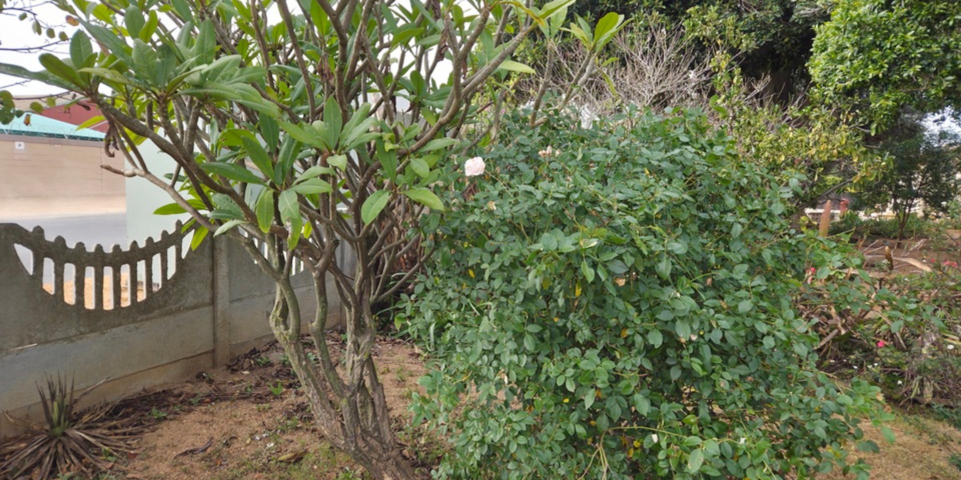 Image 3 of 6