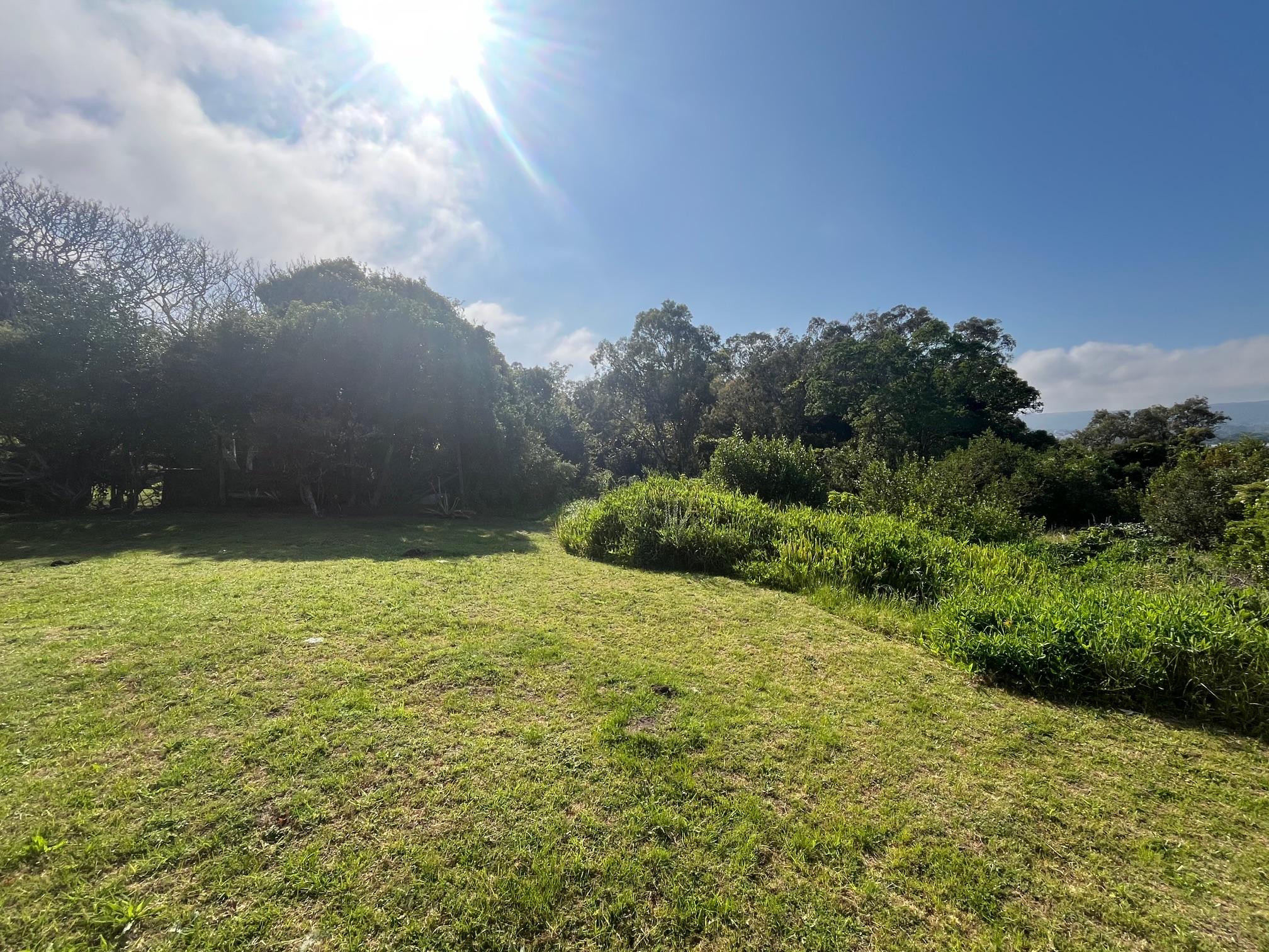 Image 18