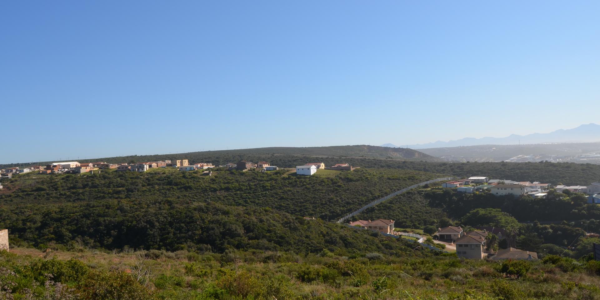 Image 3 of 6