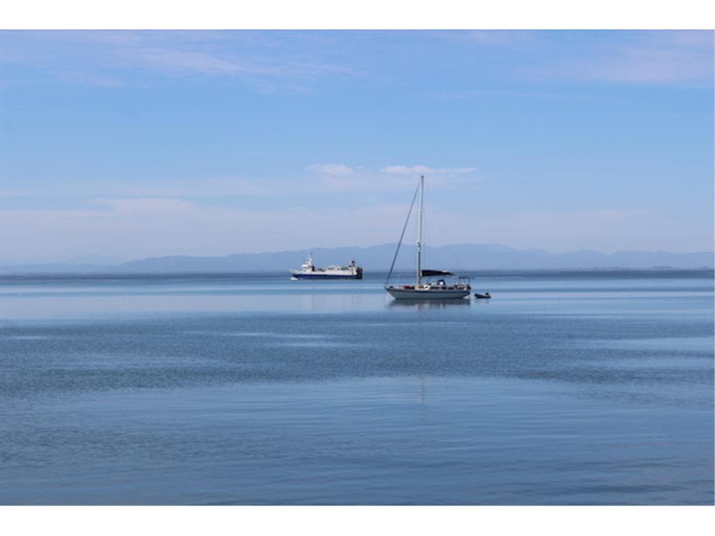 Image 38
