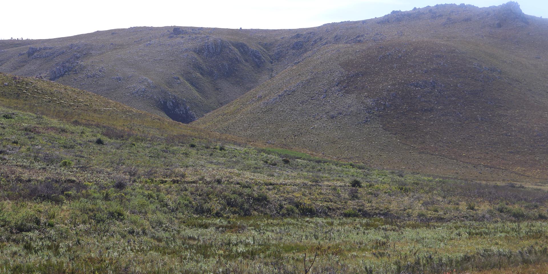 Image 4 of 6