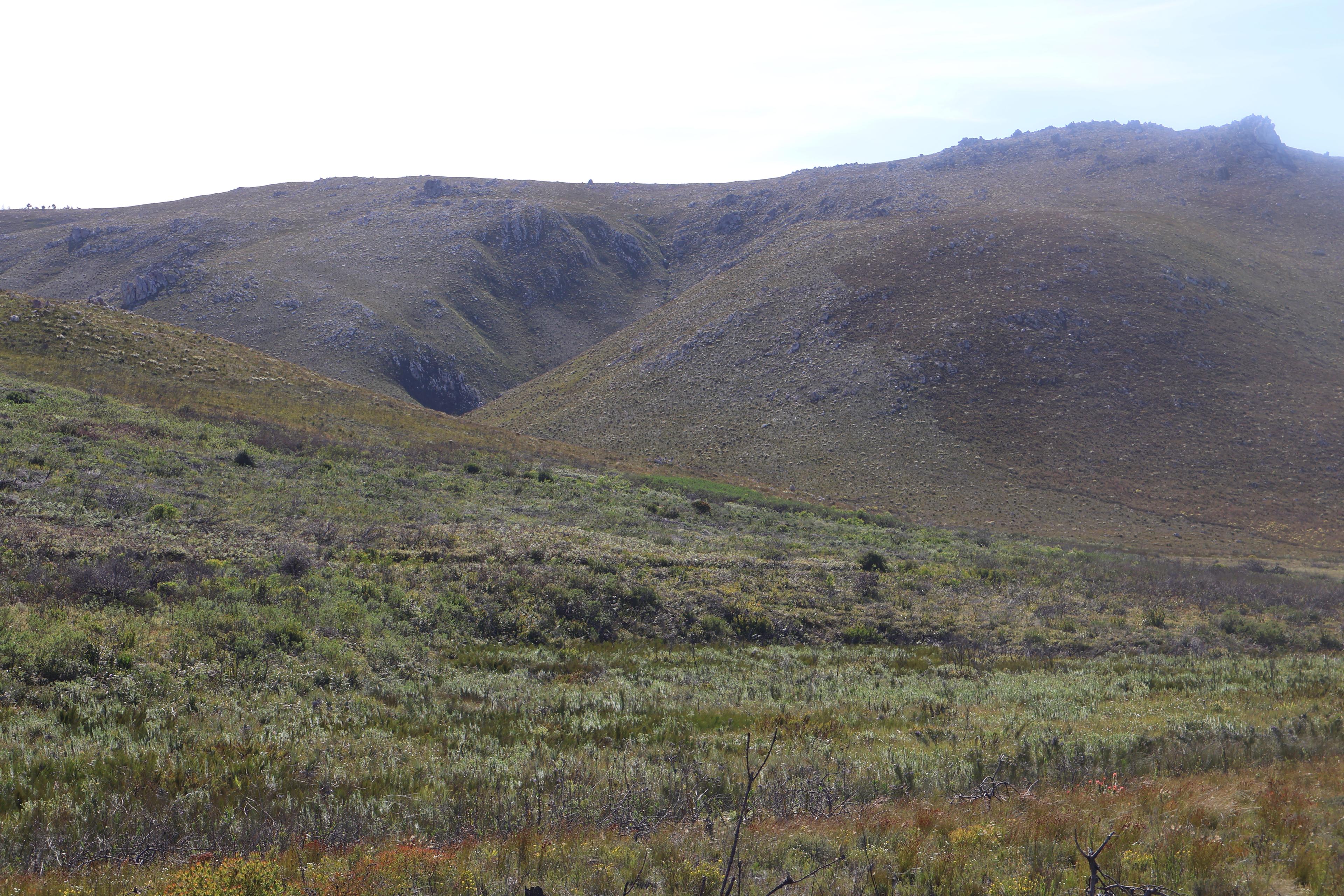 Image 4 of 6