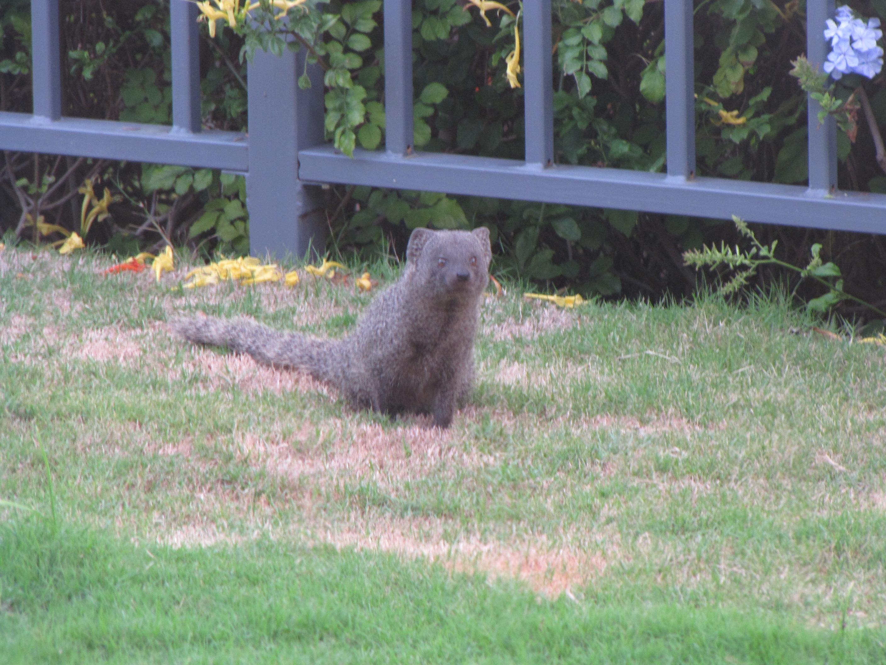 Image 91