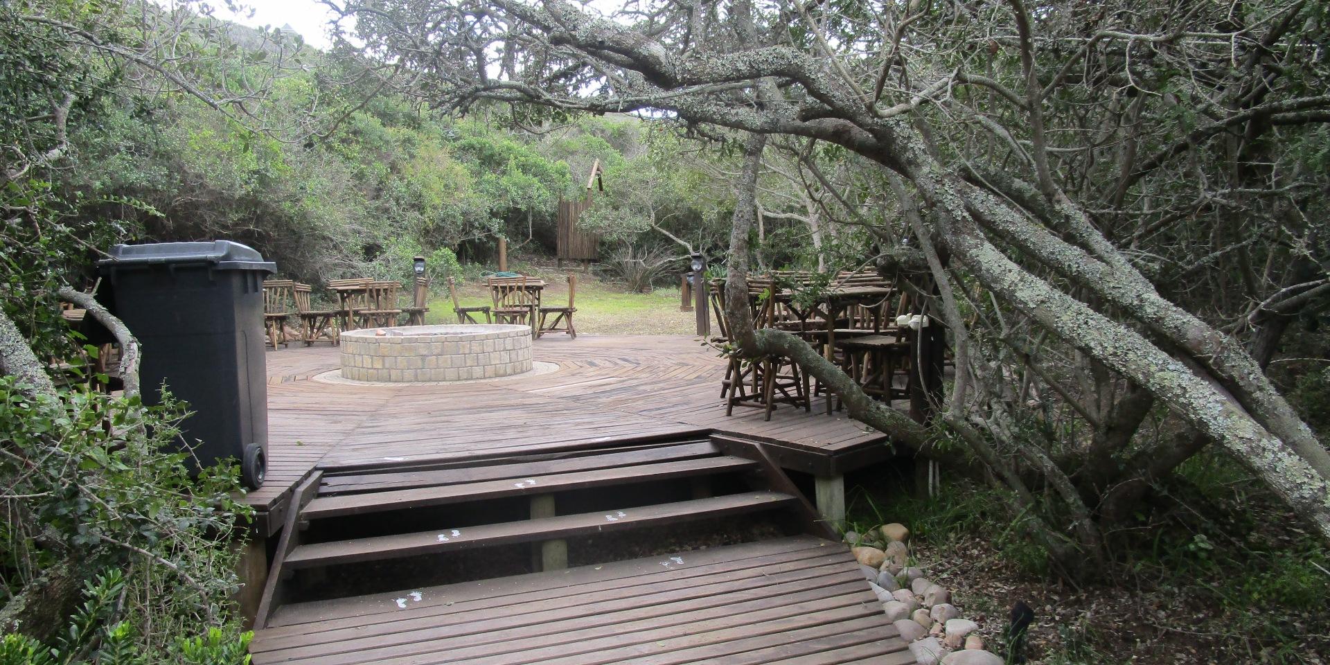 Image 5 of 6