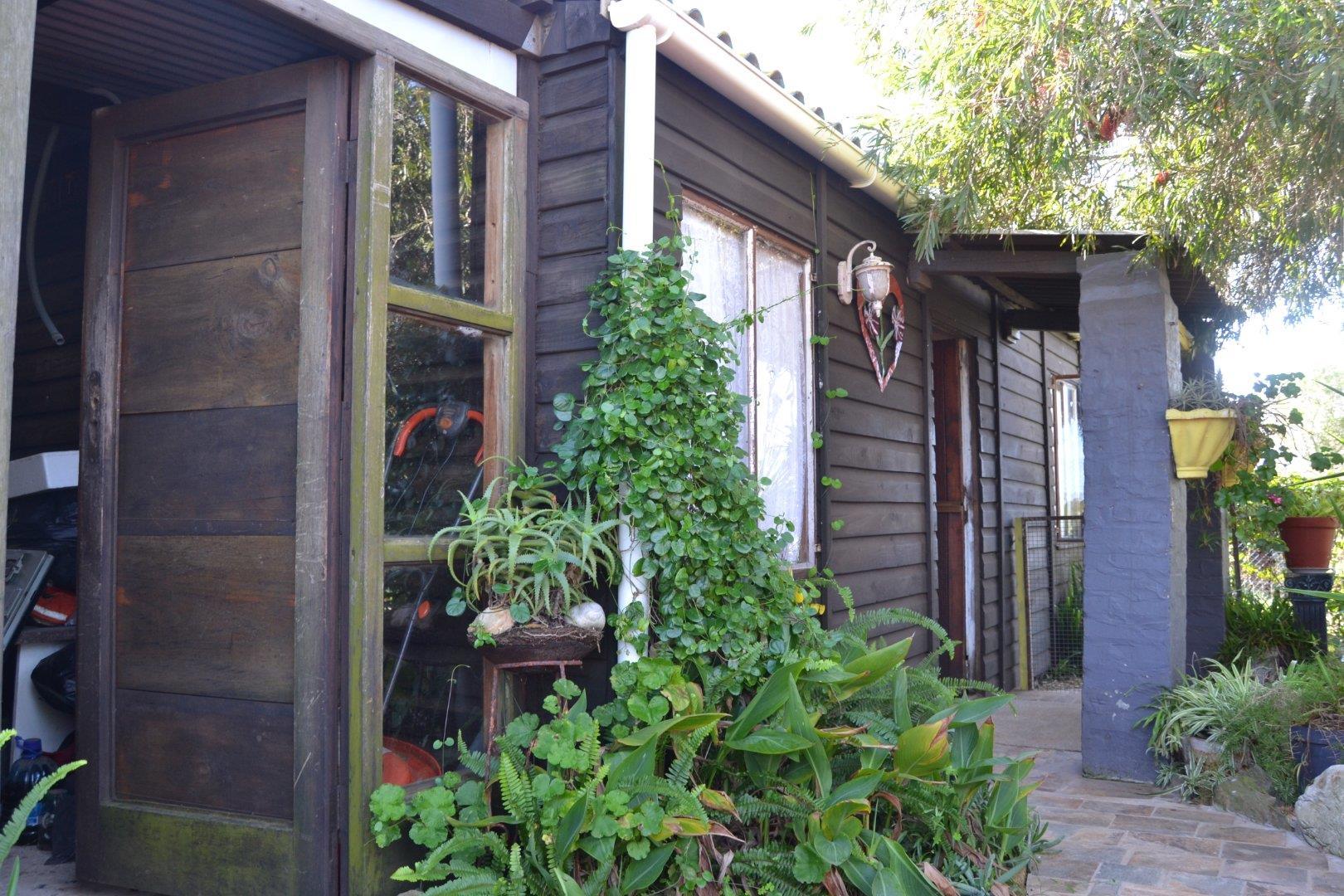 Image 11