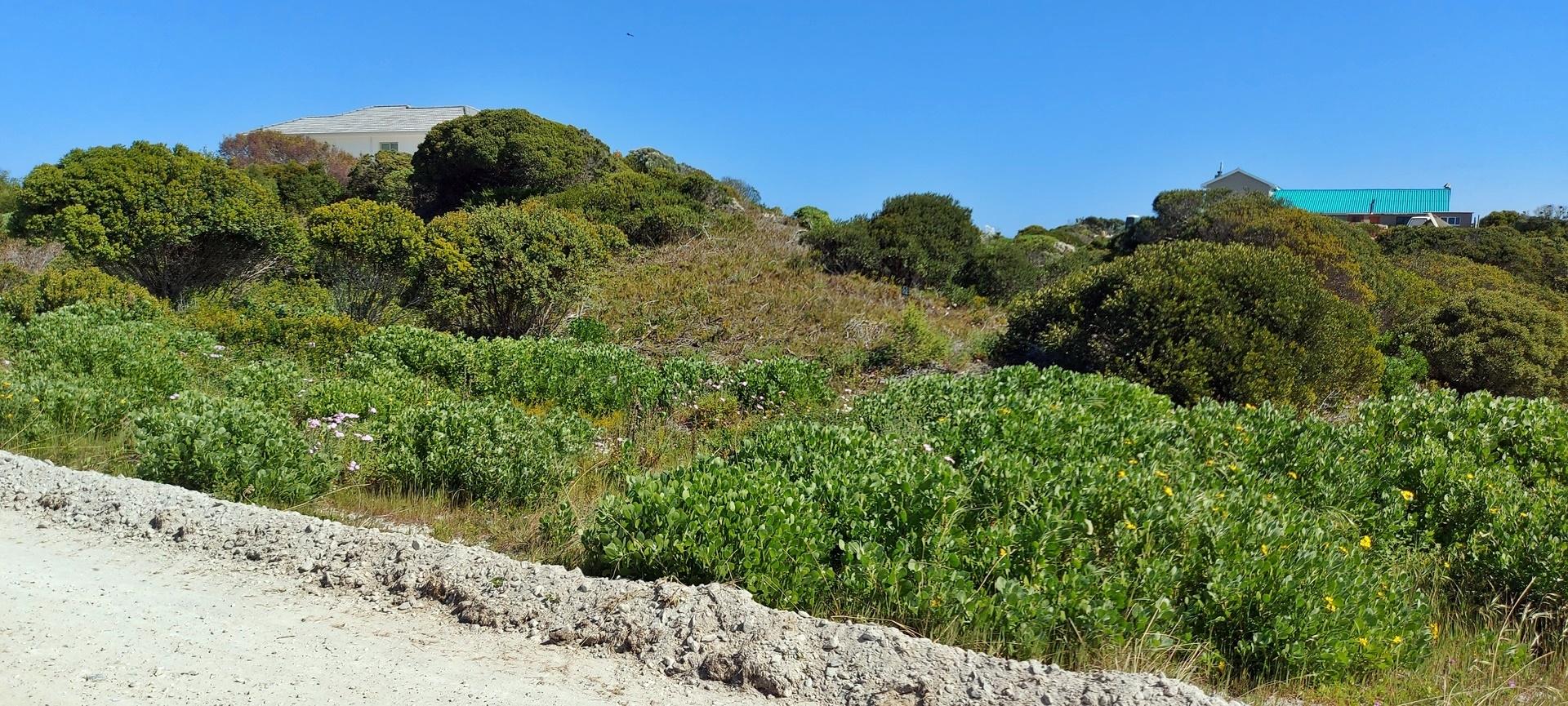 Image 12