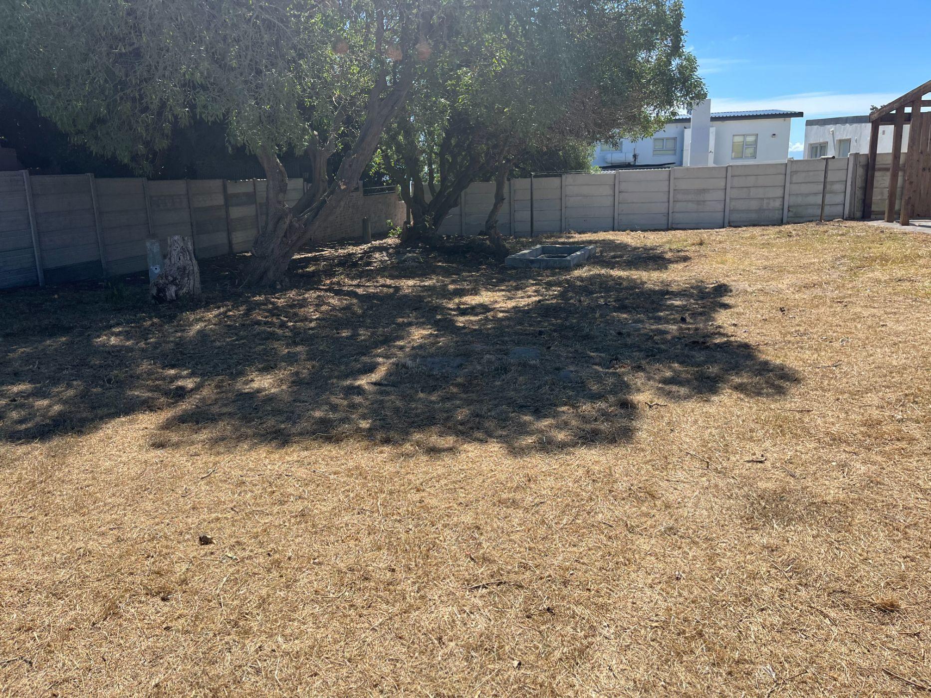 Image 13
