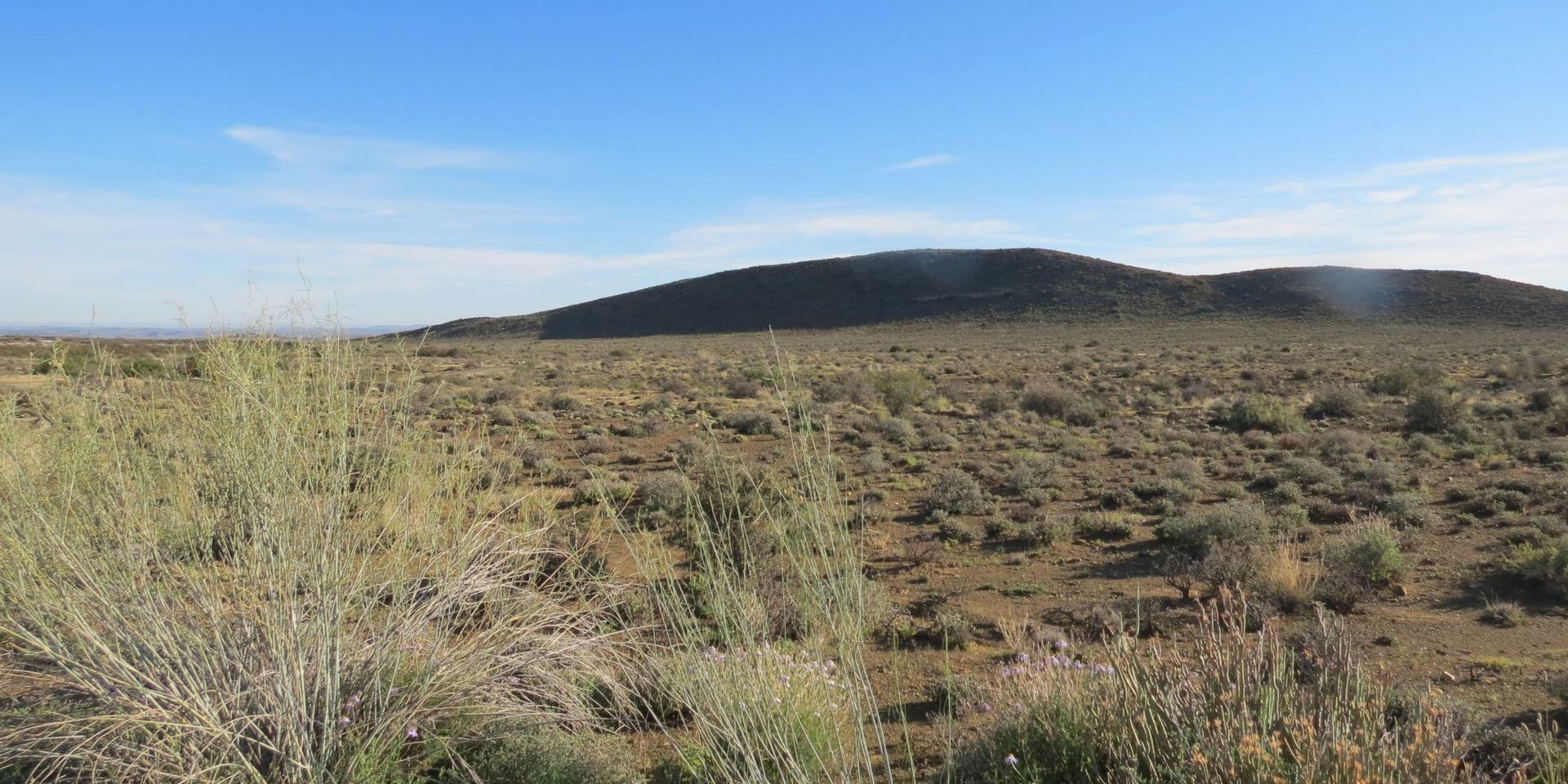Image 4 of 6
