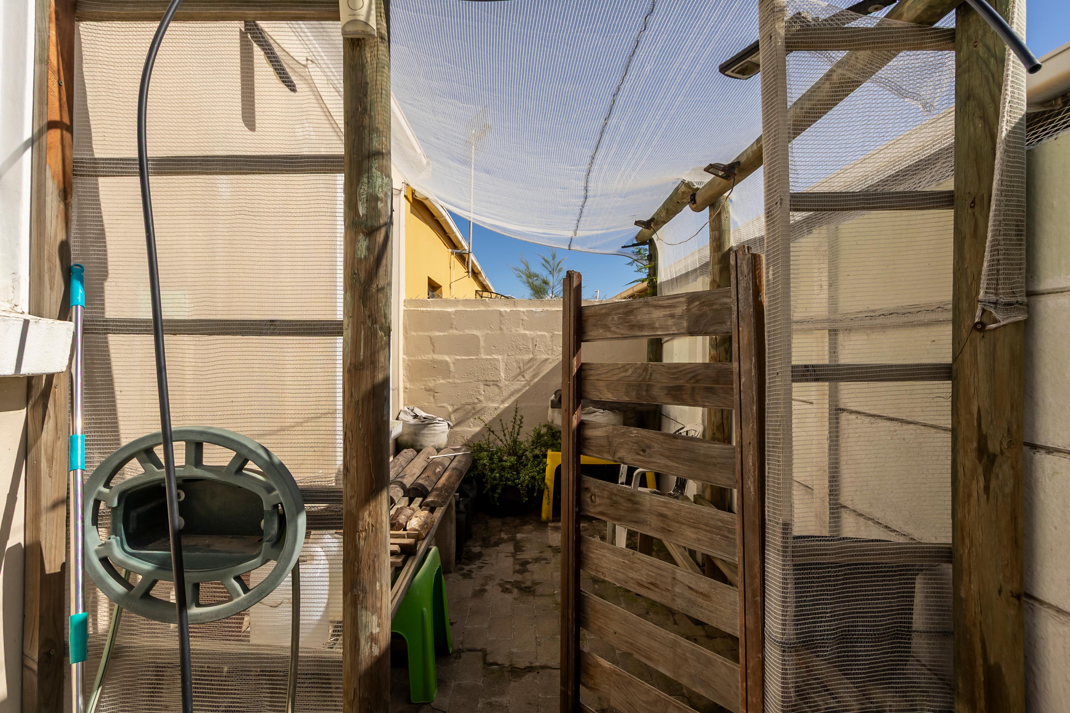 Image 15