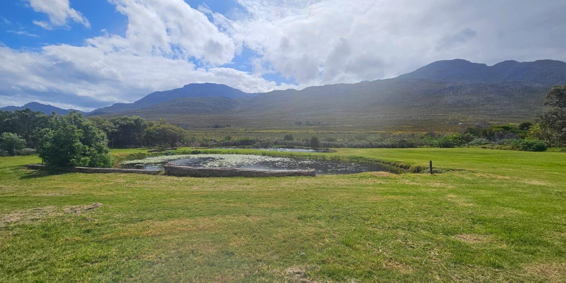 Image 4 of 6