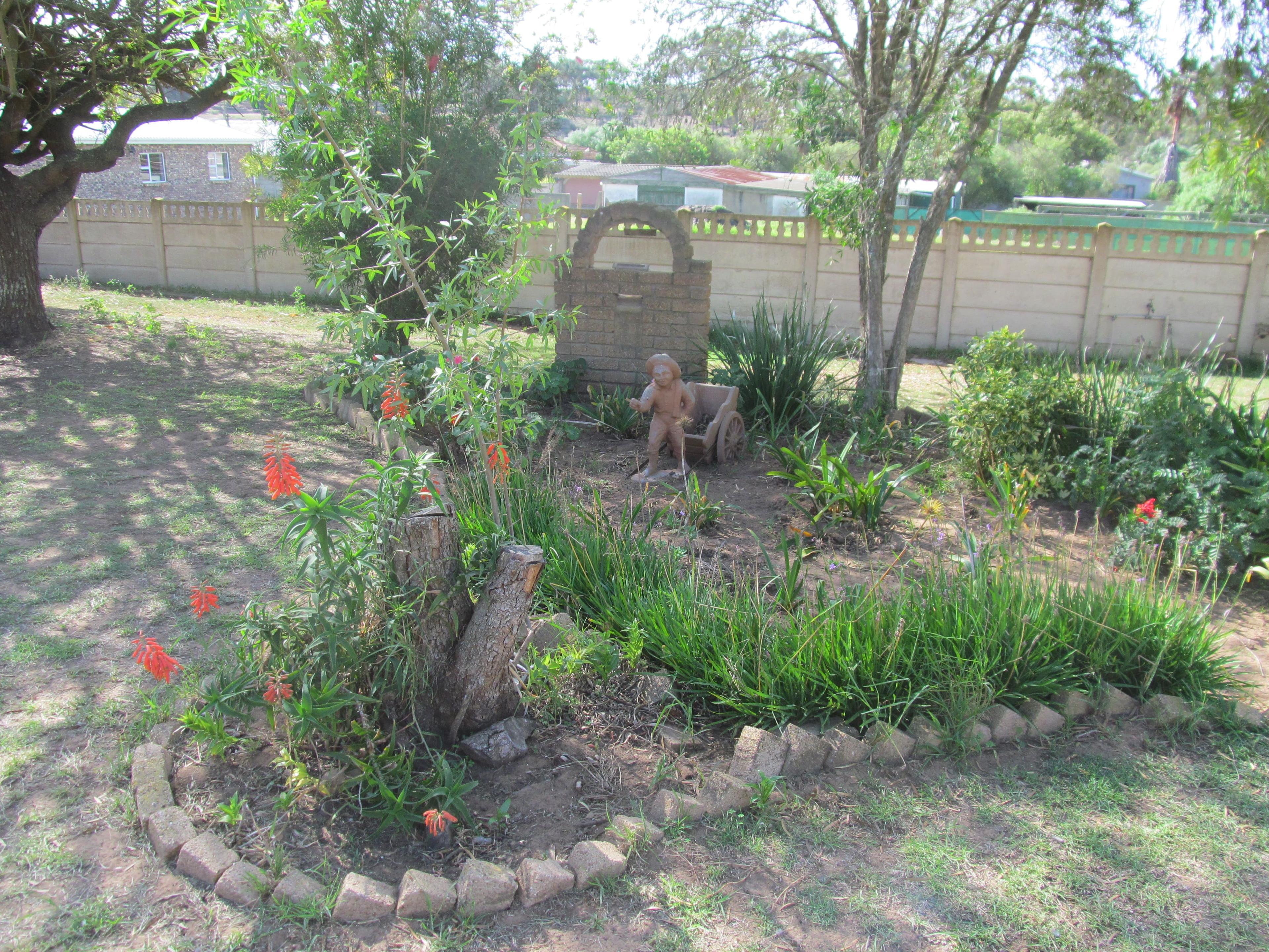 Image 29