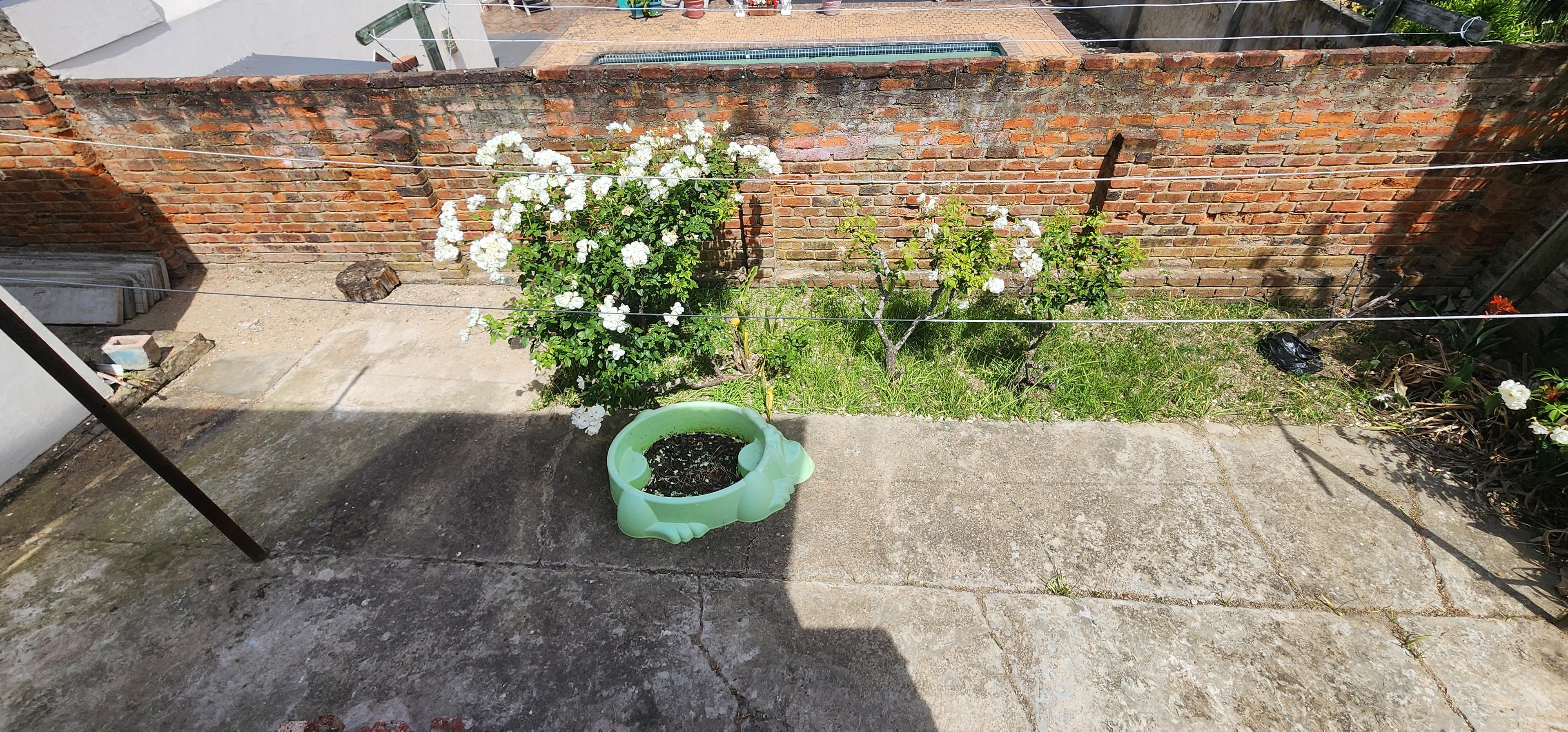 Image 29