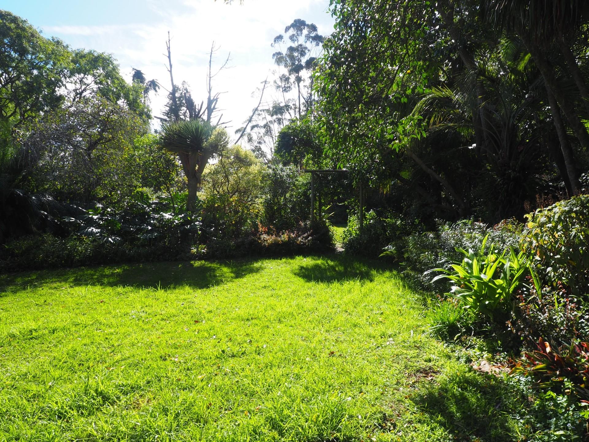 Image 49