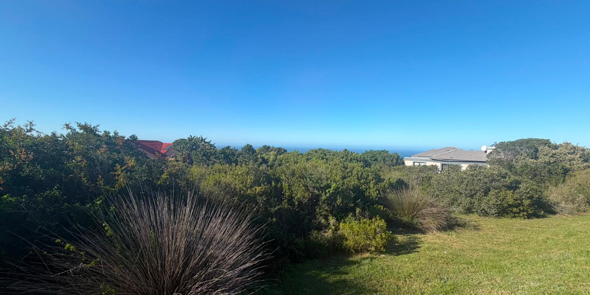 Image 2 of 6