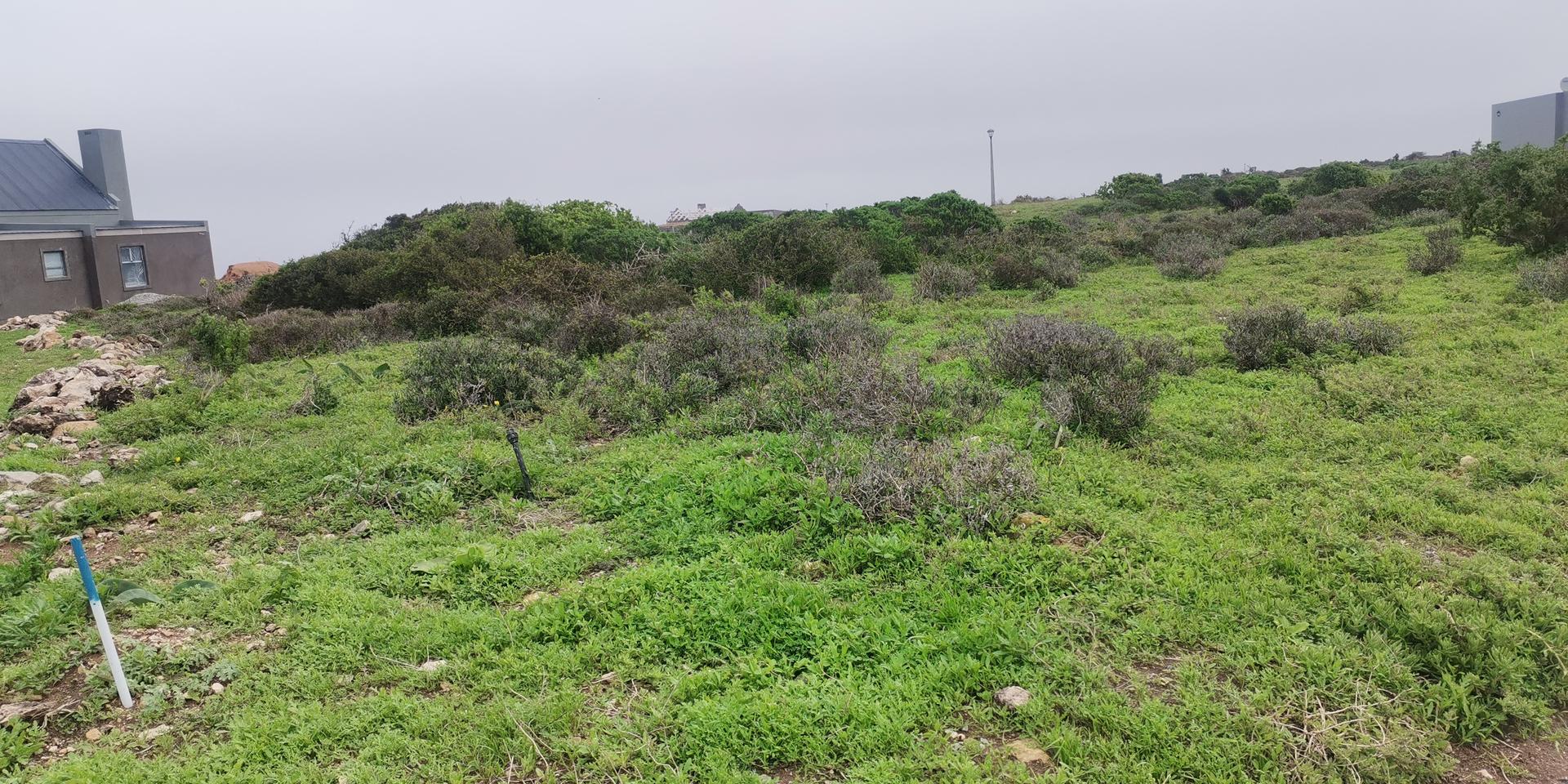 Image 3 of 6